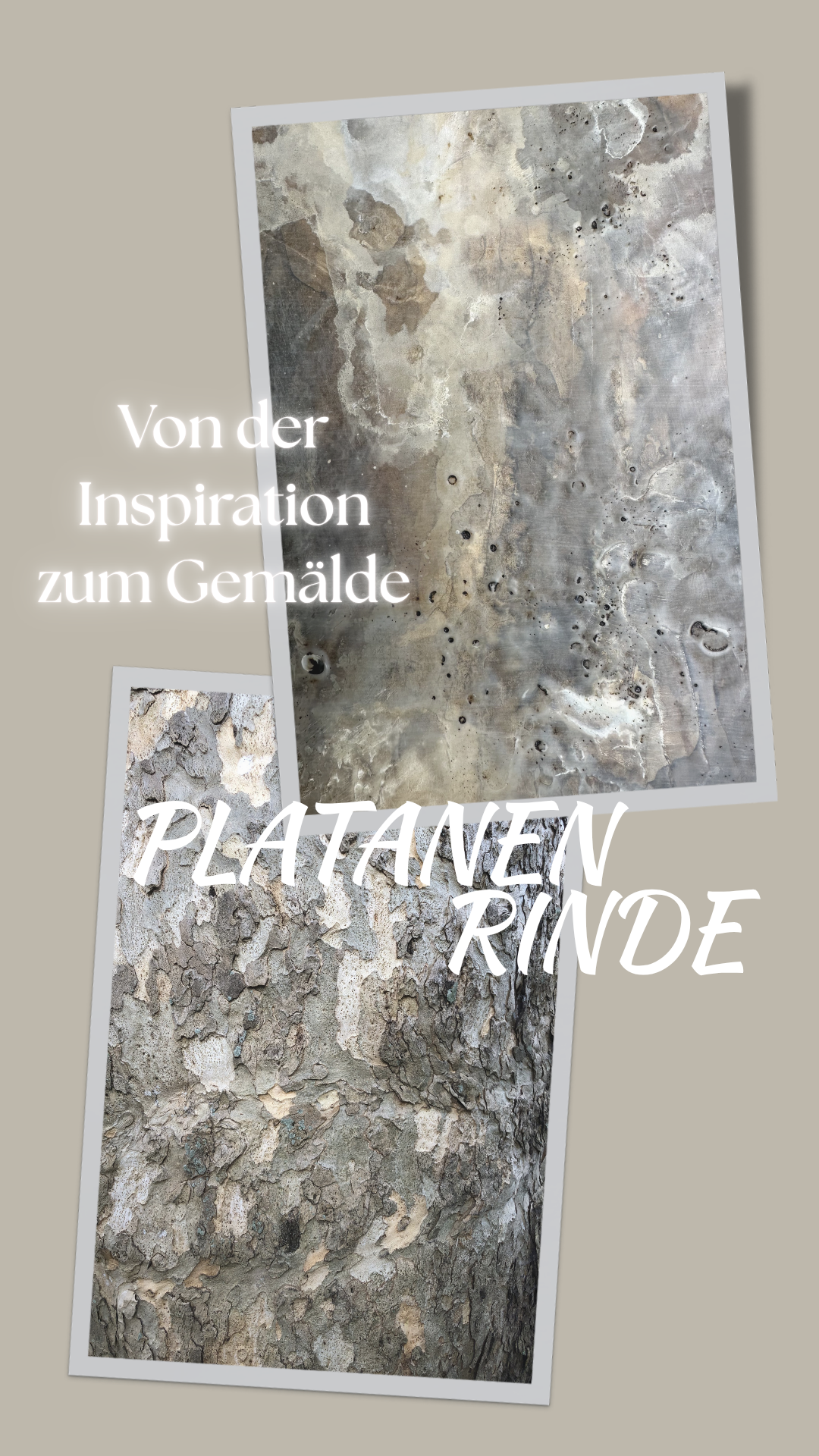 Platane - Detail 00 - IMG_7219.PNG