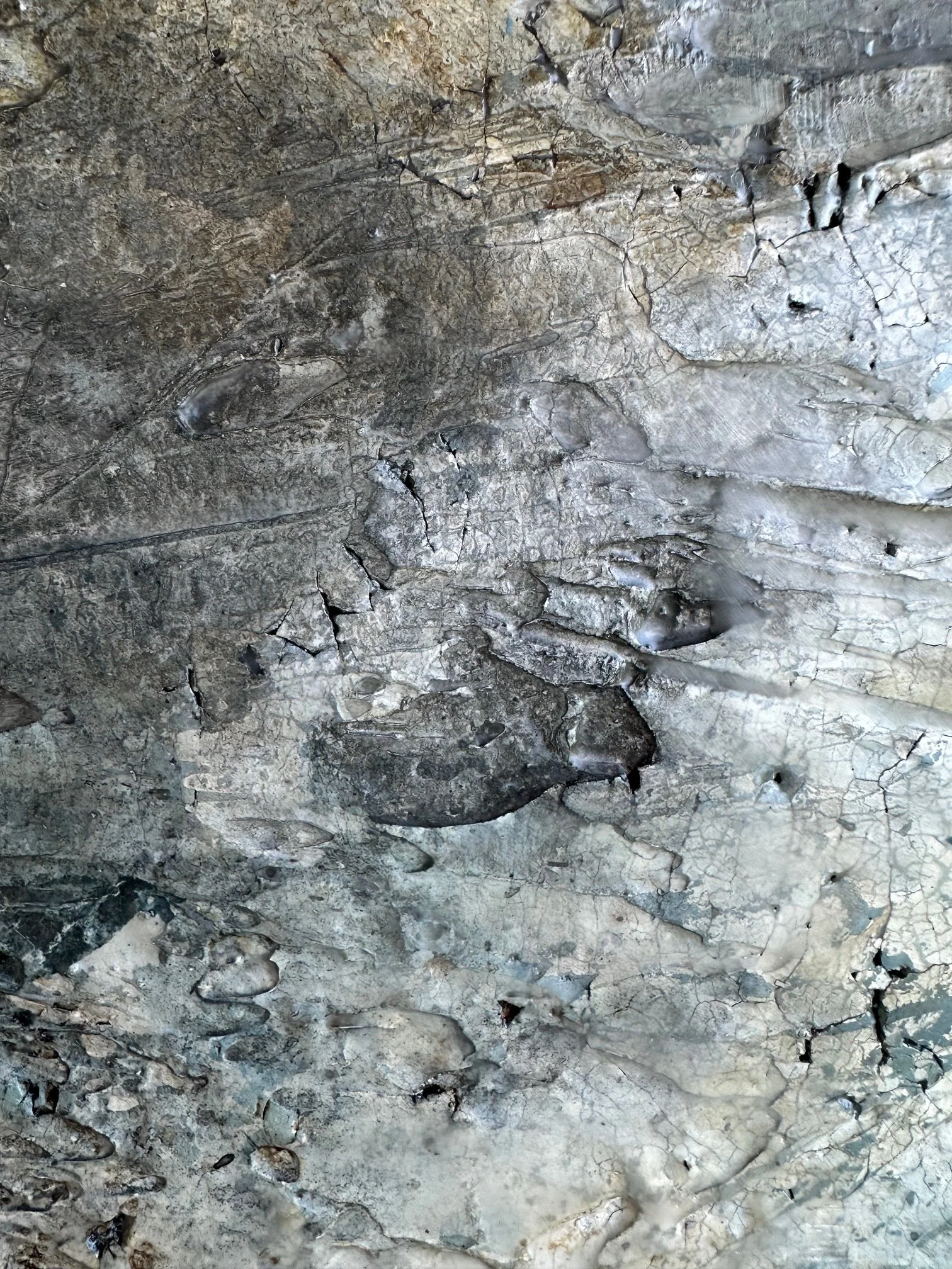 Blue Message - Detail 04 - IMG_7780.jpg