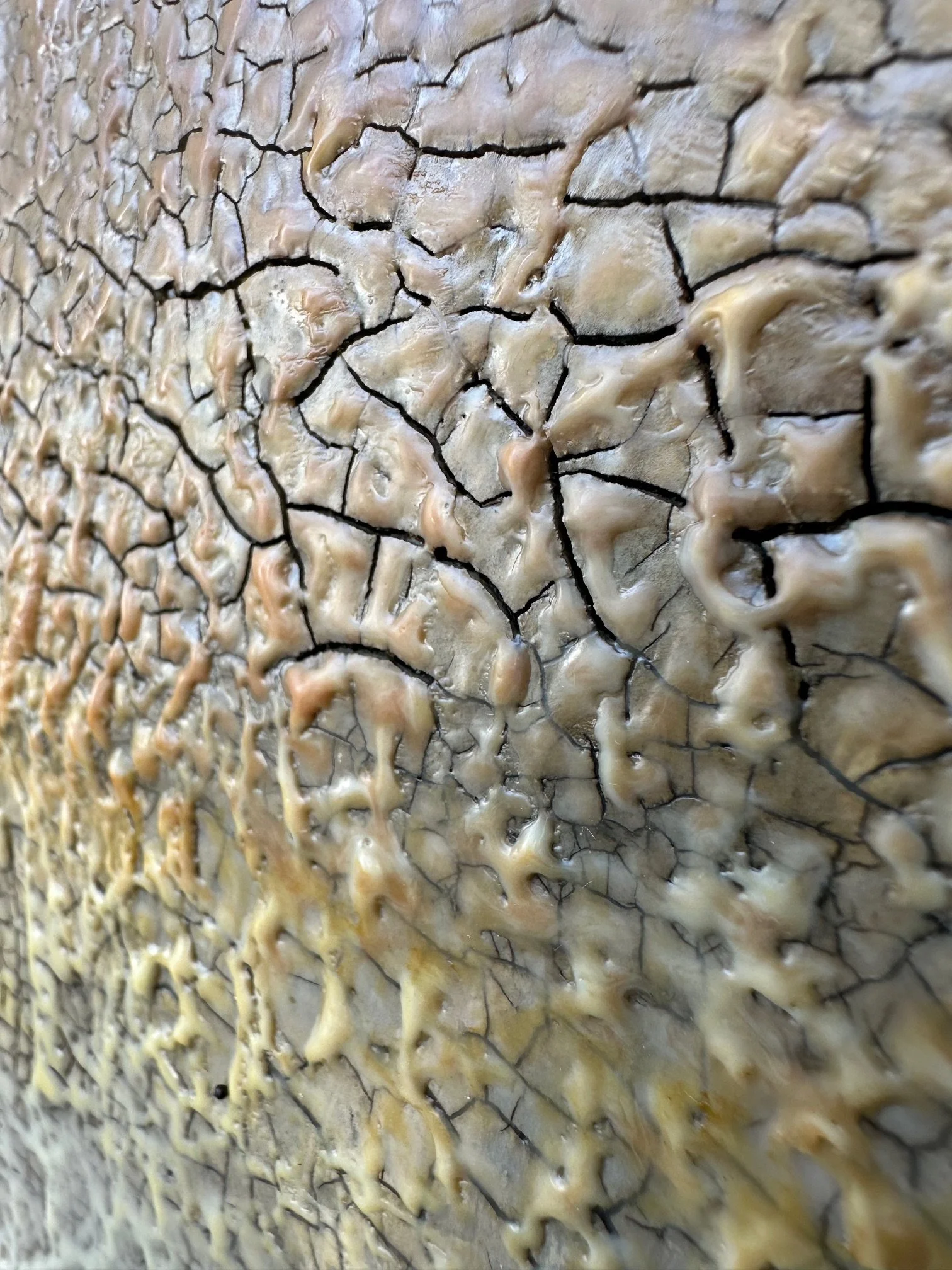 Du bist ... - Detail 03 - IMG_8882.jpg