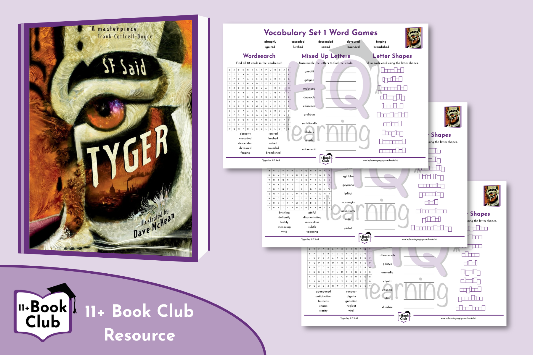 Tyger Vocabulary Games Download.png