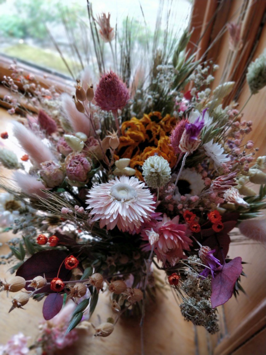 IMG_20230828_161404_Bokeh_sqspc.jpg
