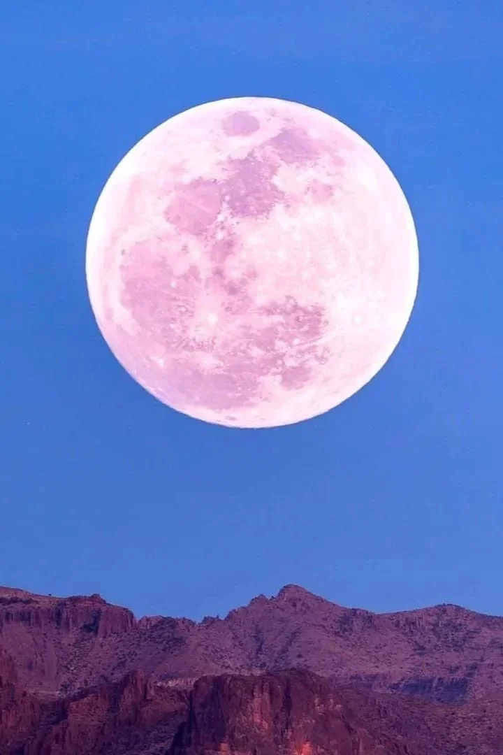 Luna%2Bdelle%2BFragole%2Bgiugno.jpg