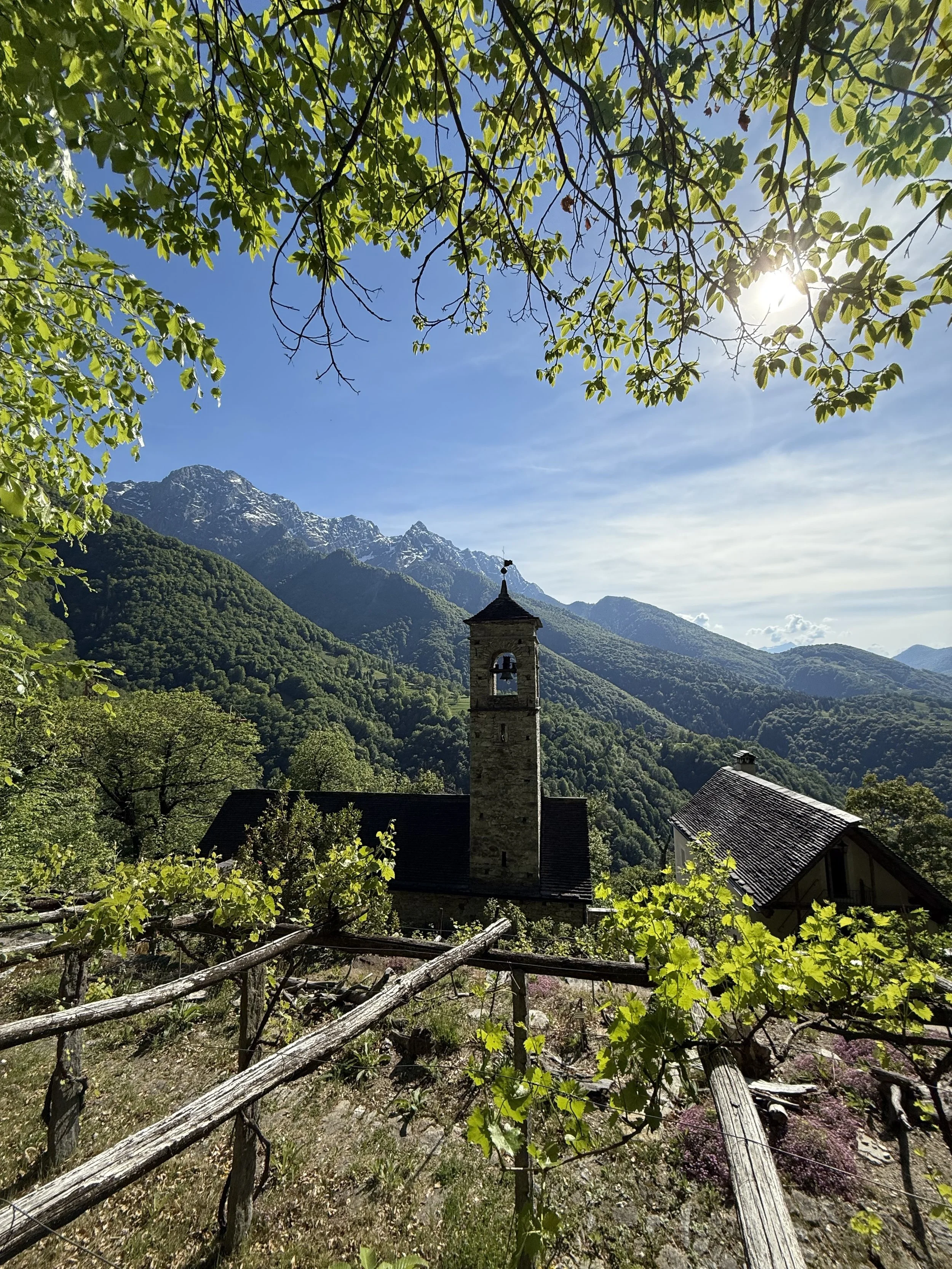 Cammino interiore Bordei-Terra Vecchia (evento di 1 giorno): 14.06.2026