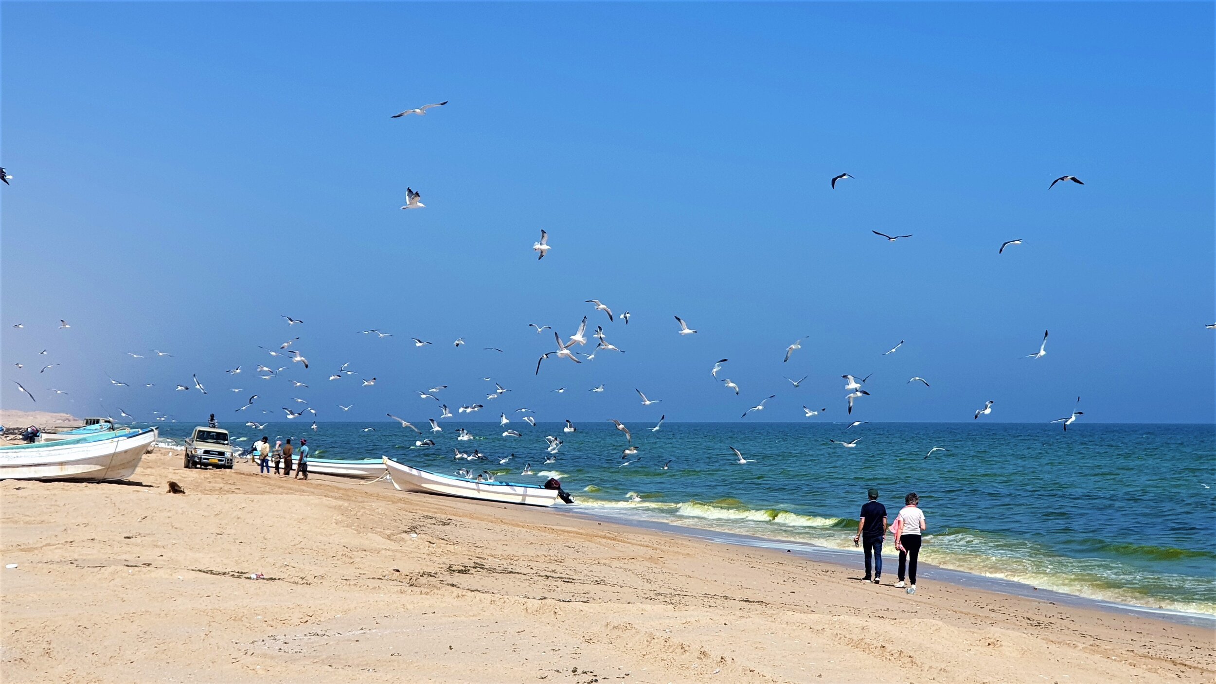 Masirah+Island.jpg