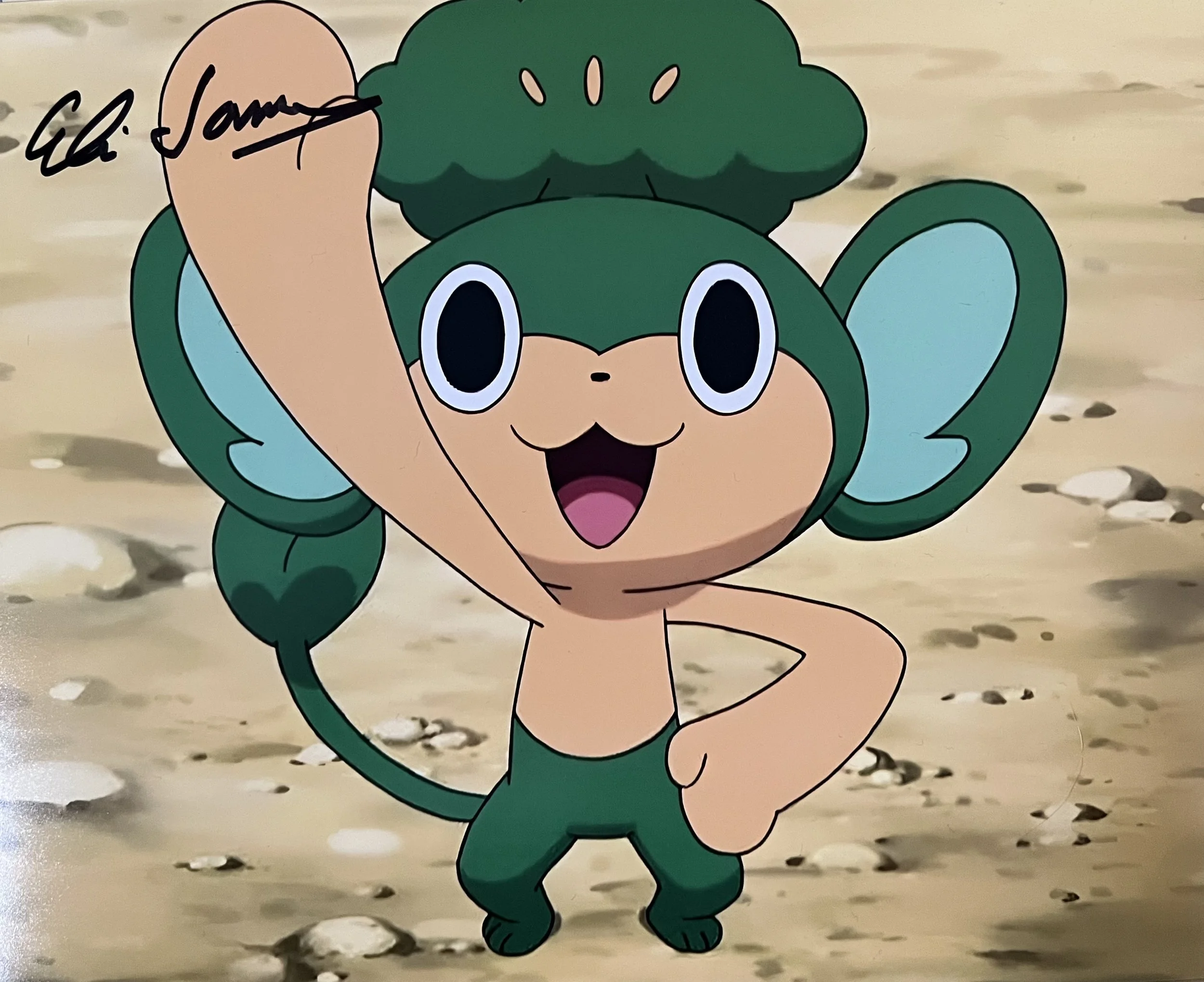 Eli James 10 X 8 Signed Pokémon