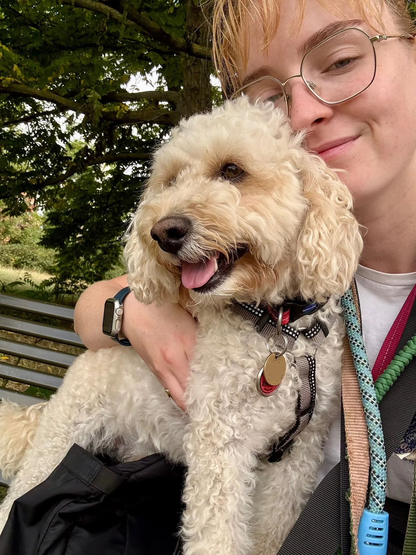 End-of-Week Walkies Snaps! 🐾📸

We&rsquo;ve had such a lovely week in what&rsquo;s probably the last super-hot weather of the year ☀️🥵

&bull;
&bull;

🐶 Head to the link in our bio for info on our services, rates, and glowing reviews.
📩 DM us, em
