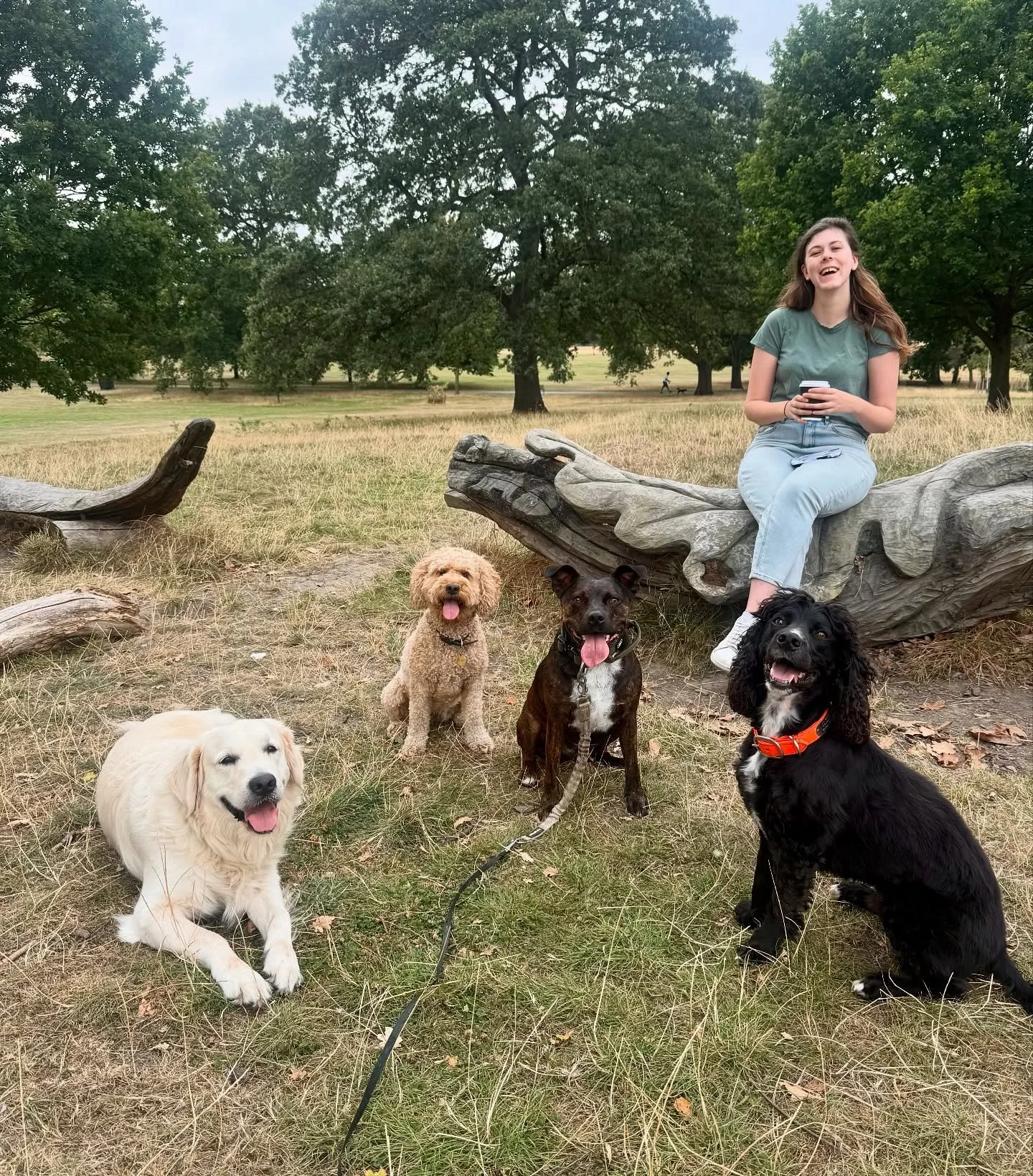 Tuesday&rsquo;s Walkies Snaps! 🐾📸

My best friend joined me for her Birthday Walk 🎂and everyone was good doggos today 😇

&bull;
&bull;

🐶 Head to the link in our bio for info on our services, rates, and glowing reviews.
📩 DM us, email hello@hap