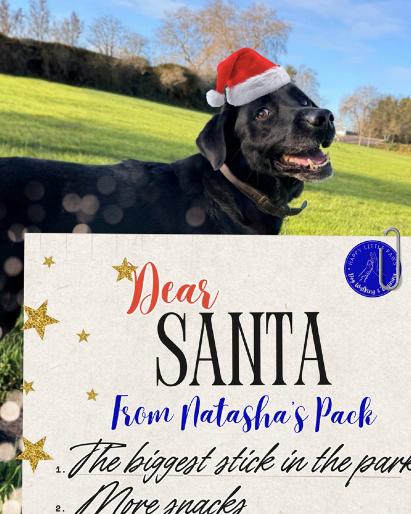 All I want for Christmas is... DOG EDITION

🐾More walkies with friends
🐾To find bigger sticks
🐾People to embrace my new look. Dogs covered in mud is so fetch.
🐾More adventure days! 
🐾Never ending cuddles with Natasha! 

What does your dog want f