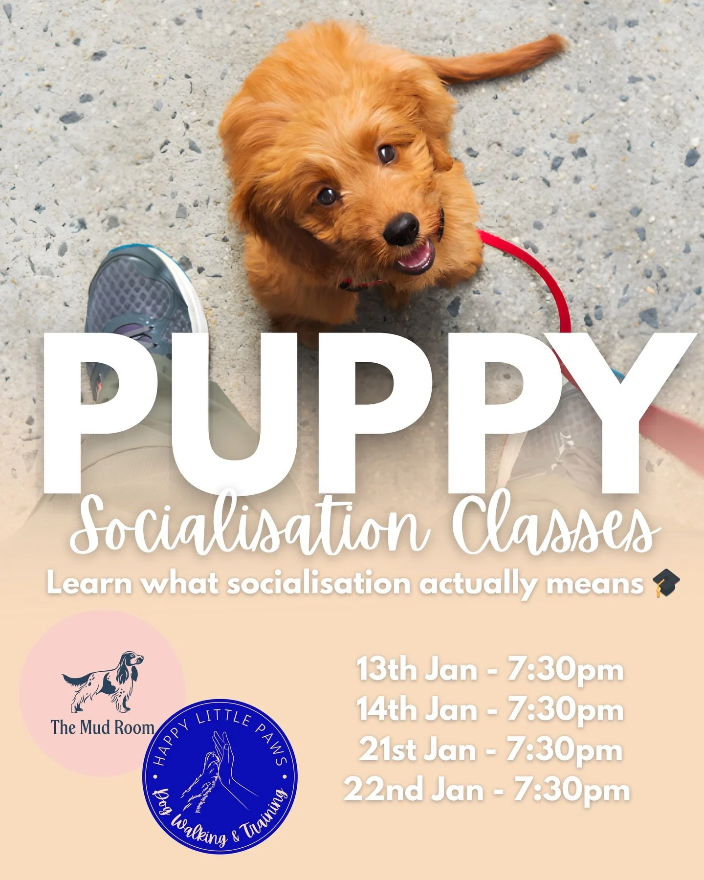 Puppy Socialisation Workshop - now taking bookings!
Learn what socialisation actually means 🎓

45mins at &pound;50
13th Jan - 7:30pm
14th Jan - 7:30pm
21st Jan - 7:30pm
22nd Jan - 7:30pm 

Working on:
Focusing on you
Settling in a different environm