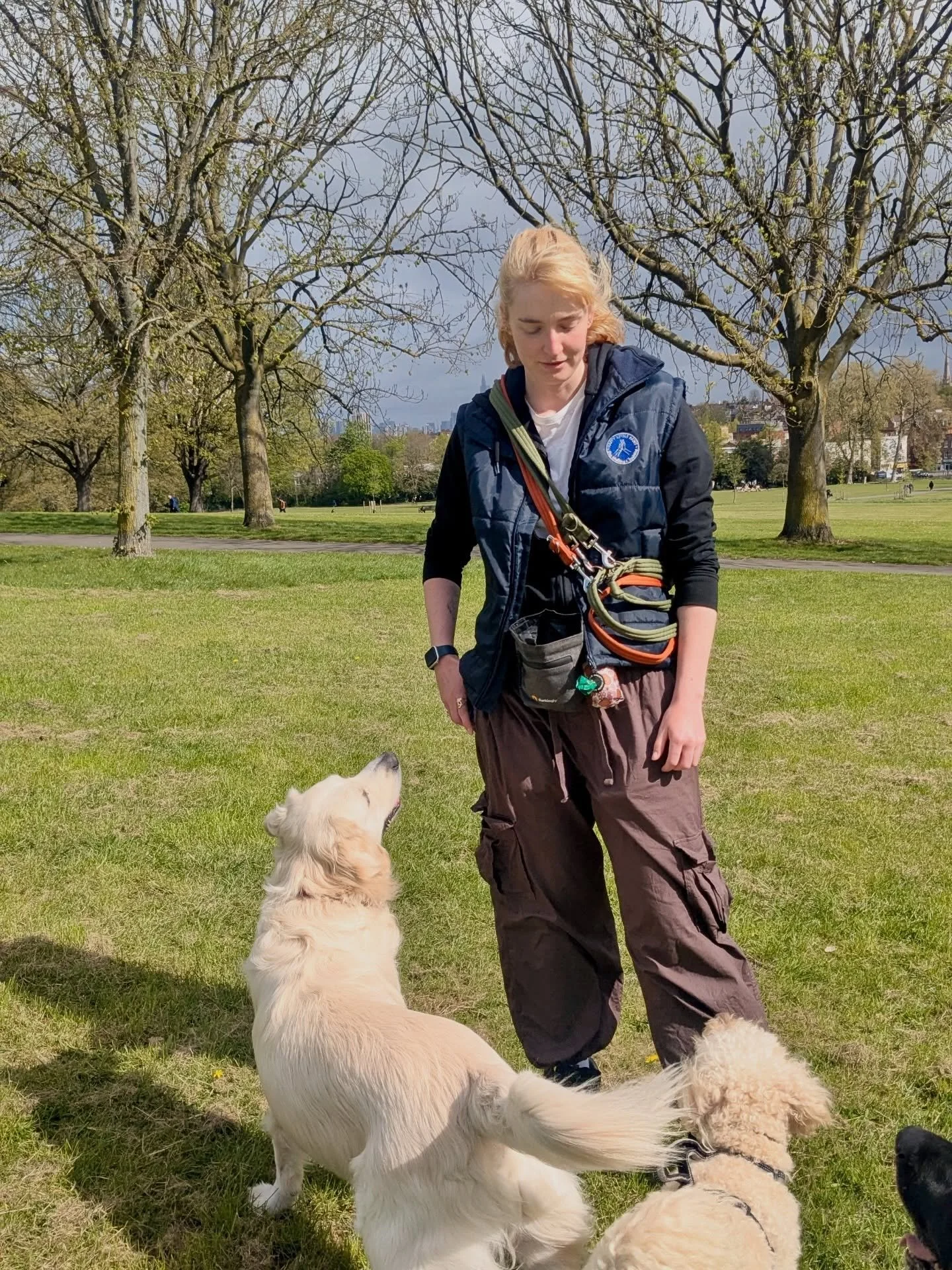 This week&rsquo;s photo dump 📸 it&rsquo;s been a great one, bring on more of this weather ☺️

Streatham Hill | dog walks of london | london dog trainer | south london parks | dogs of london | london dog walker | cute dogs | dog content | Tooting Com