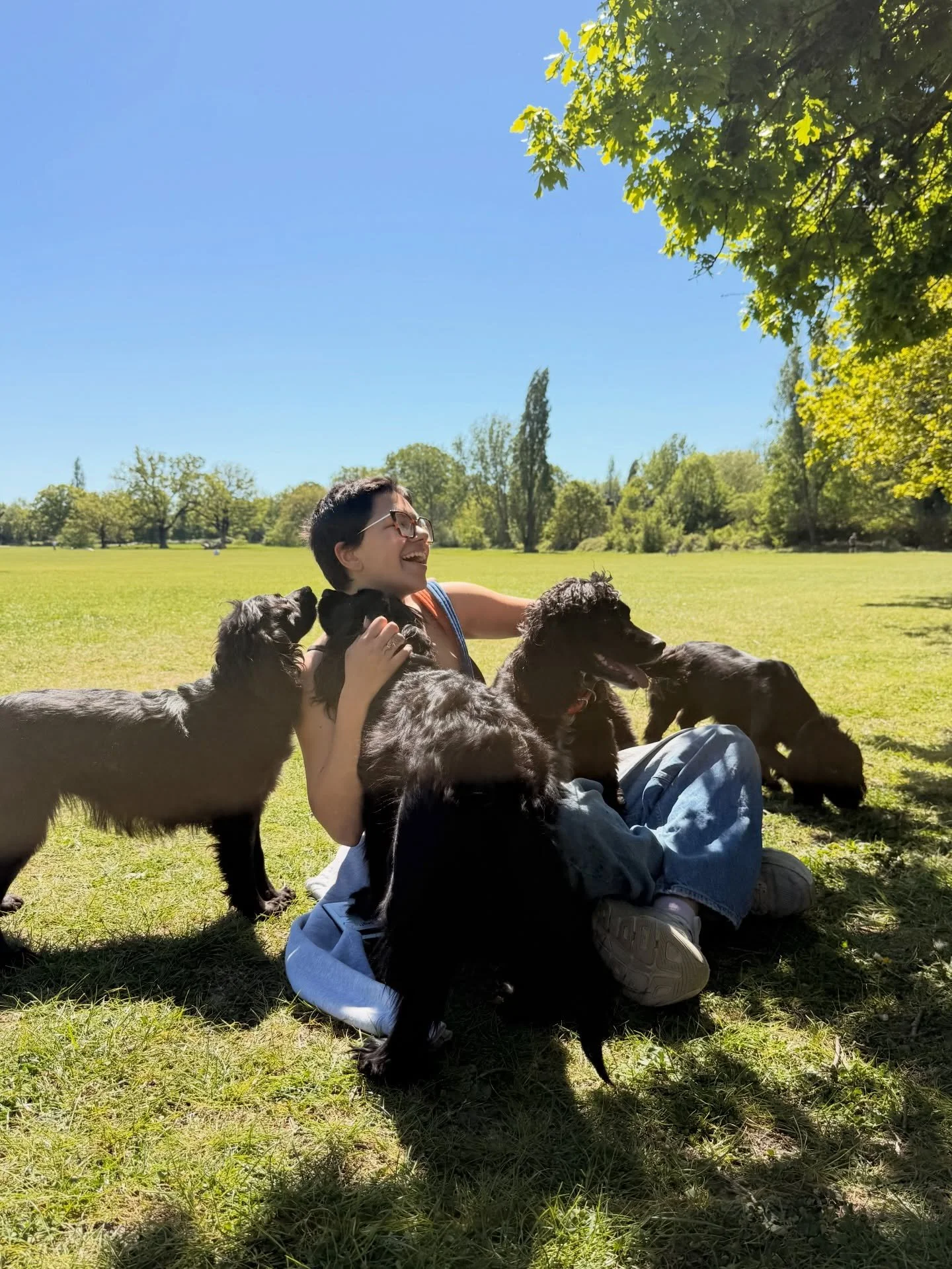 The weekly carousel of joy and happiness 🥰

Streatham Hill | dog walks of london | london dog trainer | south london parks | dogs of london | london dog walker | cute dogs | dog content | Tooting Common | Clapham Common | South London Dog Walker