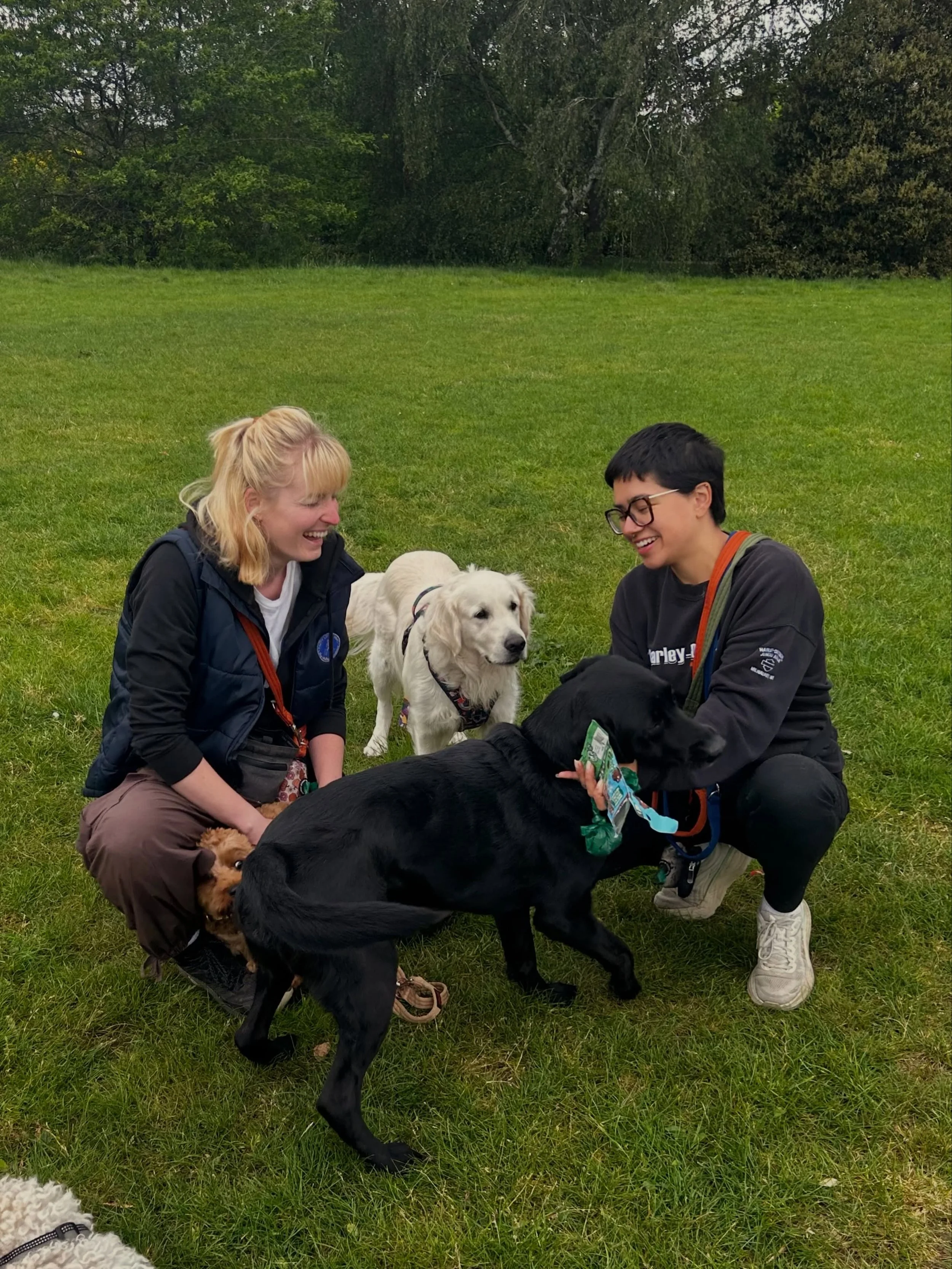 The weekly carousel of joy and happiness 🥰

Streatham Hill | dog walks of london | london dog trainer | south london parks | dogs of london | london dog walker | cute dogs | dog content | Tooting Common | Clapham Common | South London Dog Walker