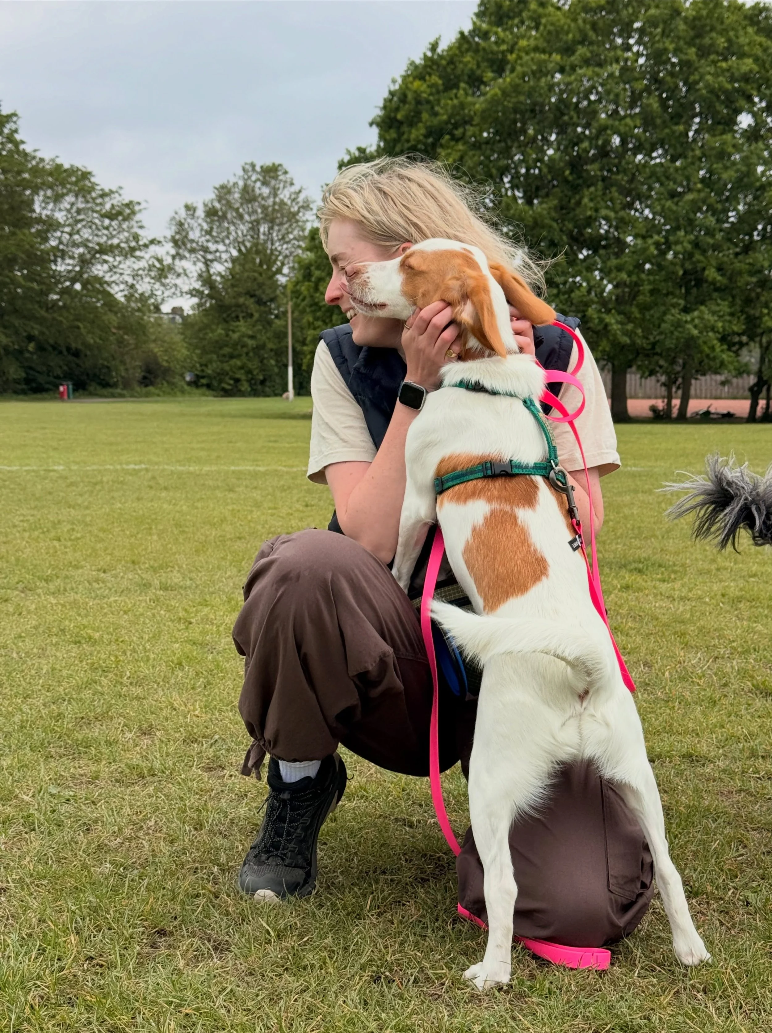 The weekly carousel of joy and happiness 🥰

Streatham Hill | dog walks of london | london dog trainer | south london parks | dogs of london | london dog walker | cute dogs | dog content | Tooting Common | Clapham Common | South London Dog Walker