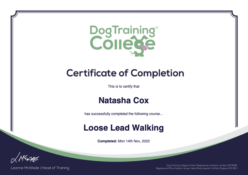 Loose Lead Walking.png