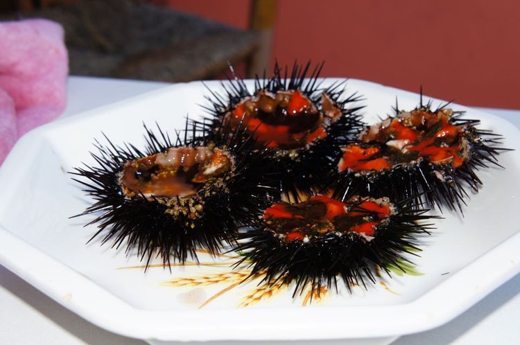 tailor made cooking experience crete sea urchins.jpg