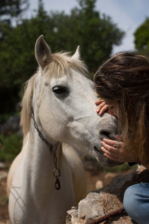 horse-love-crete.jpg