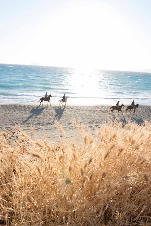 horse-riding-crete-sunshine.jpg