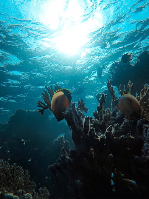 Dive crete underwater.jpg