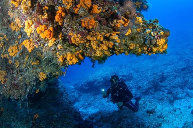Diving-crete-underwater.jpg