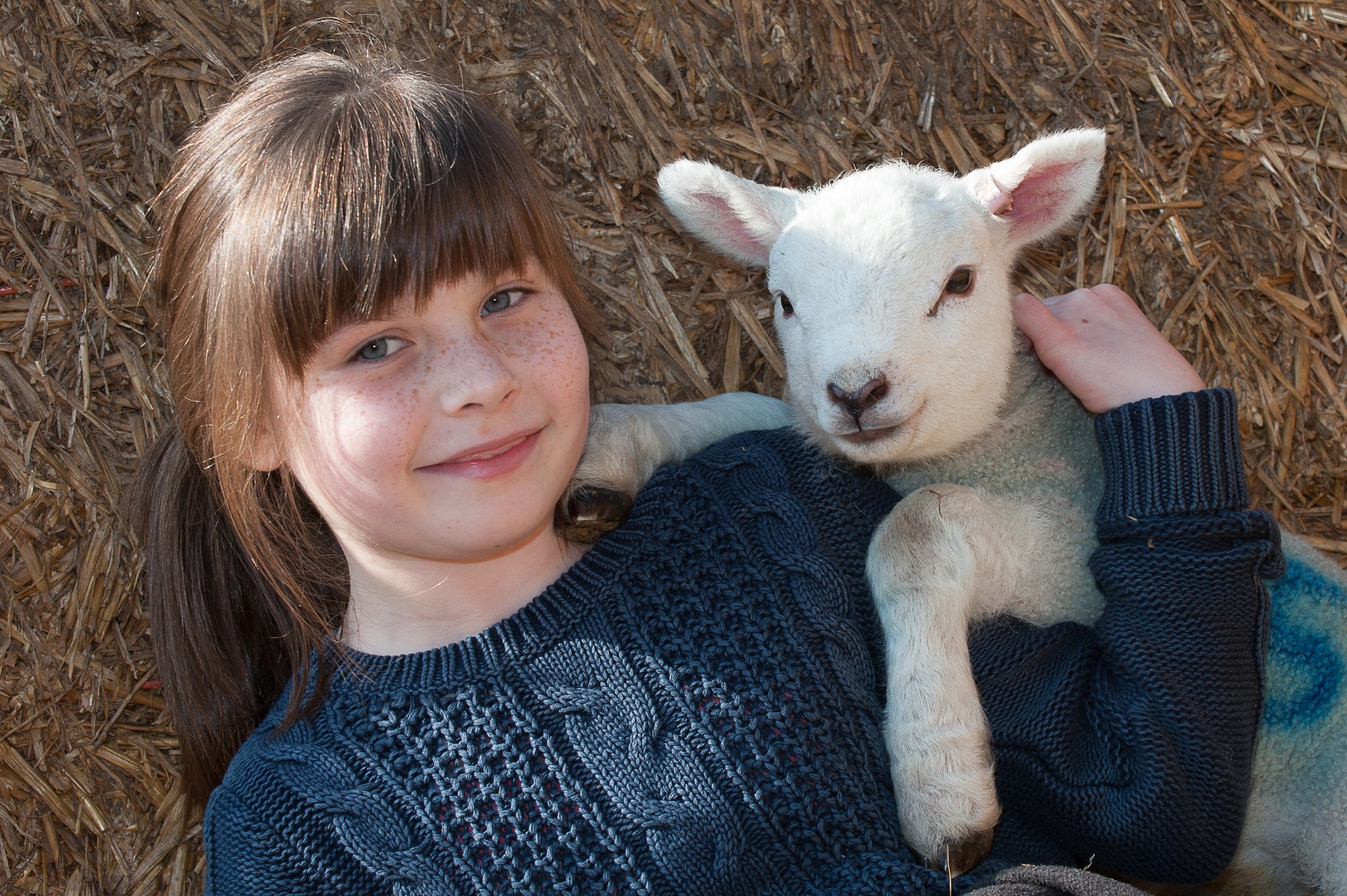 From lambs to loyal companions - whatever your pet, I’d love to capture their special moments!