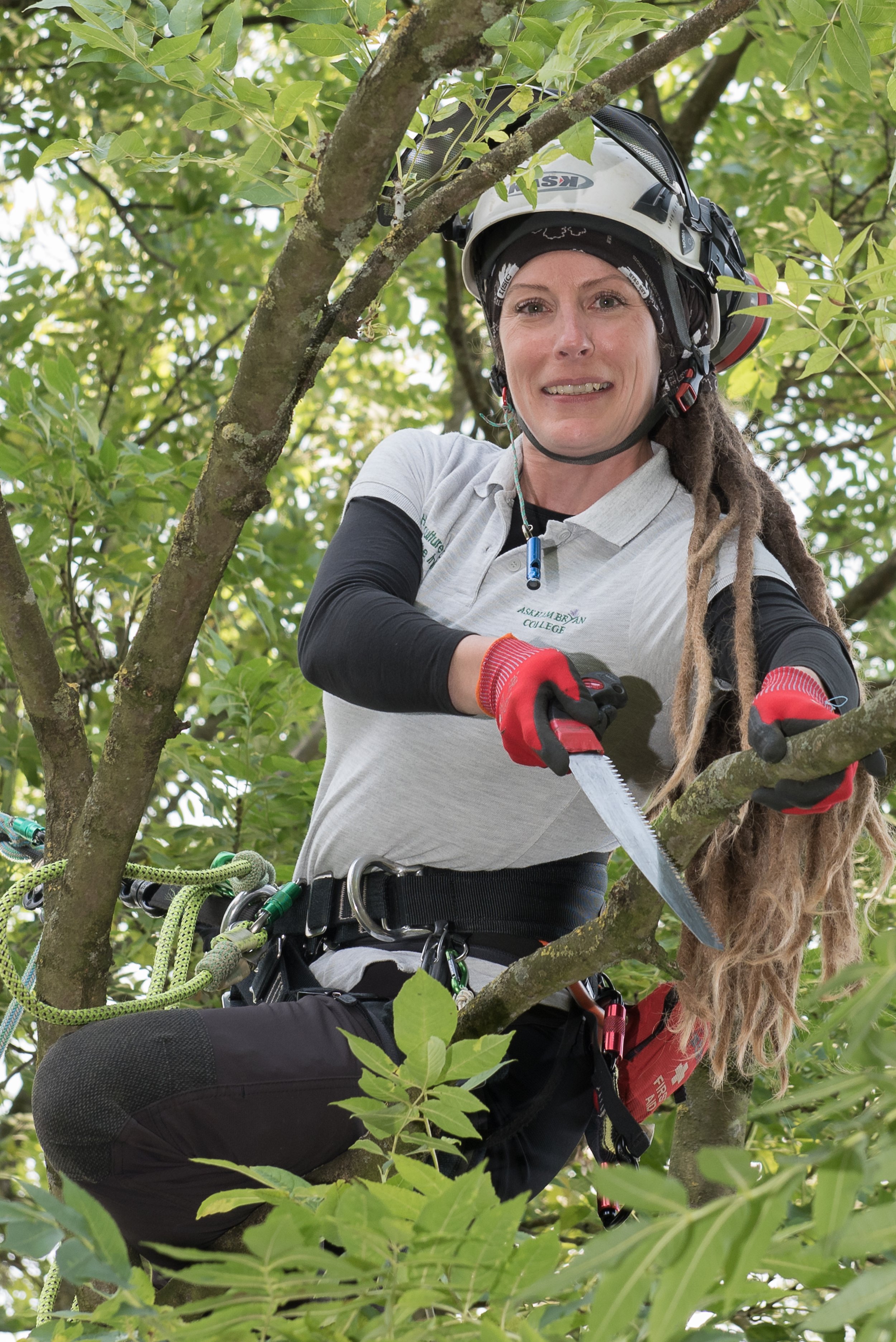 Female tree surgeon with dreadlocks working in the branches of a tree