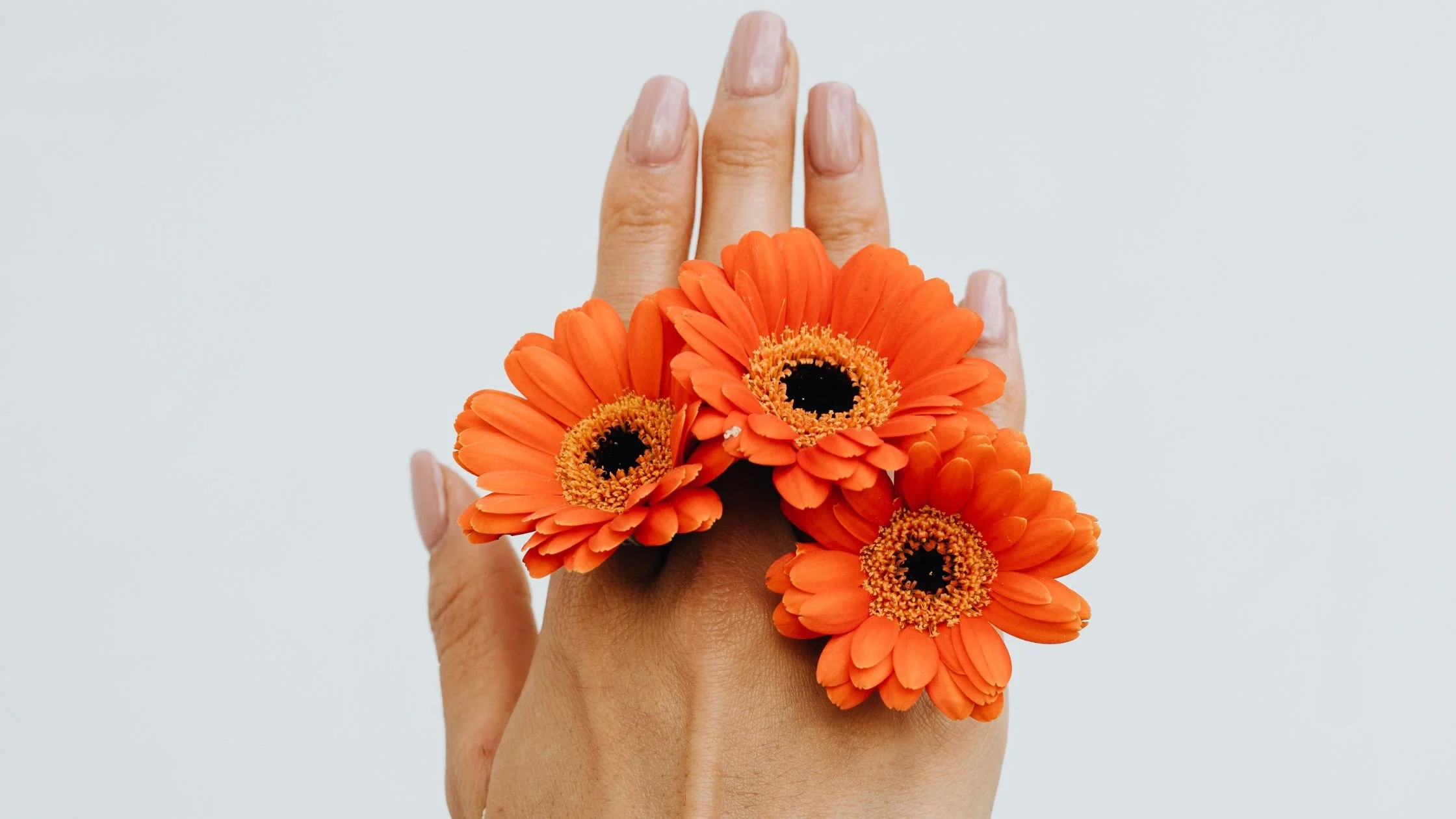 Primavera: Quando as flores nascem, mas a tristeza permanece