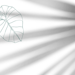 Roots Salon Specials — Roots Salon