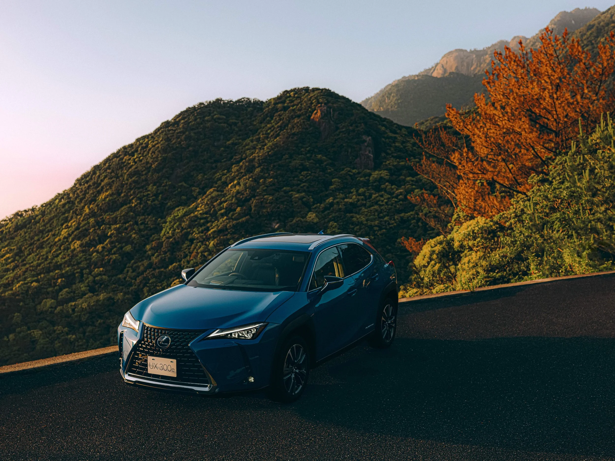 Lexus_螻倶ケ・ウカ-0011454のコピー.jpg