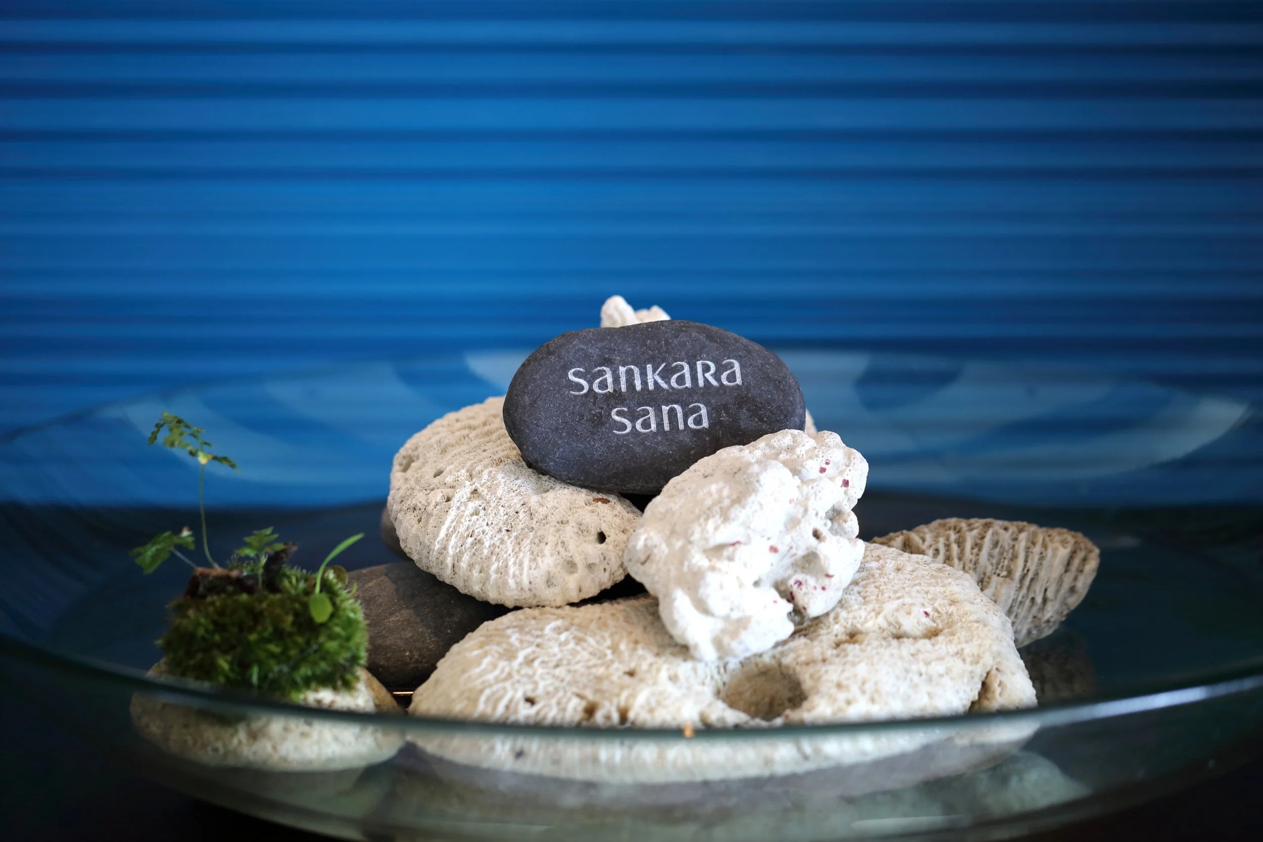 スパ-sankara sana-イメージ_0283.jpg