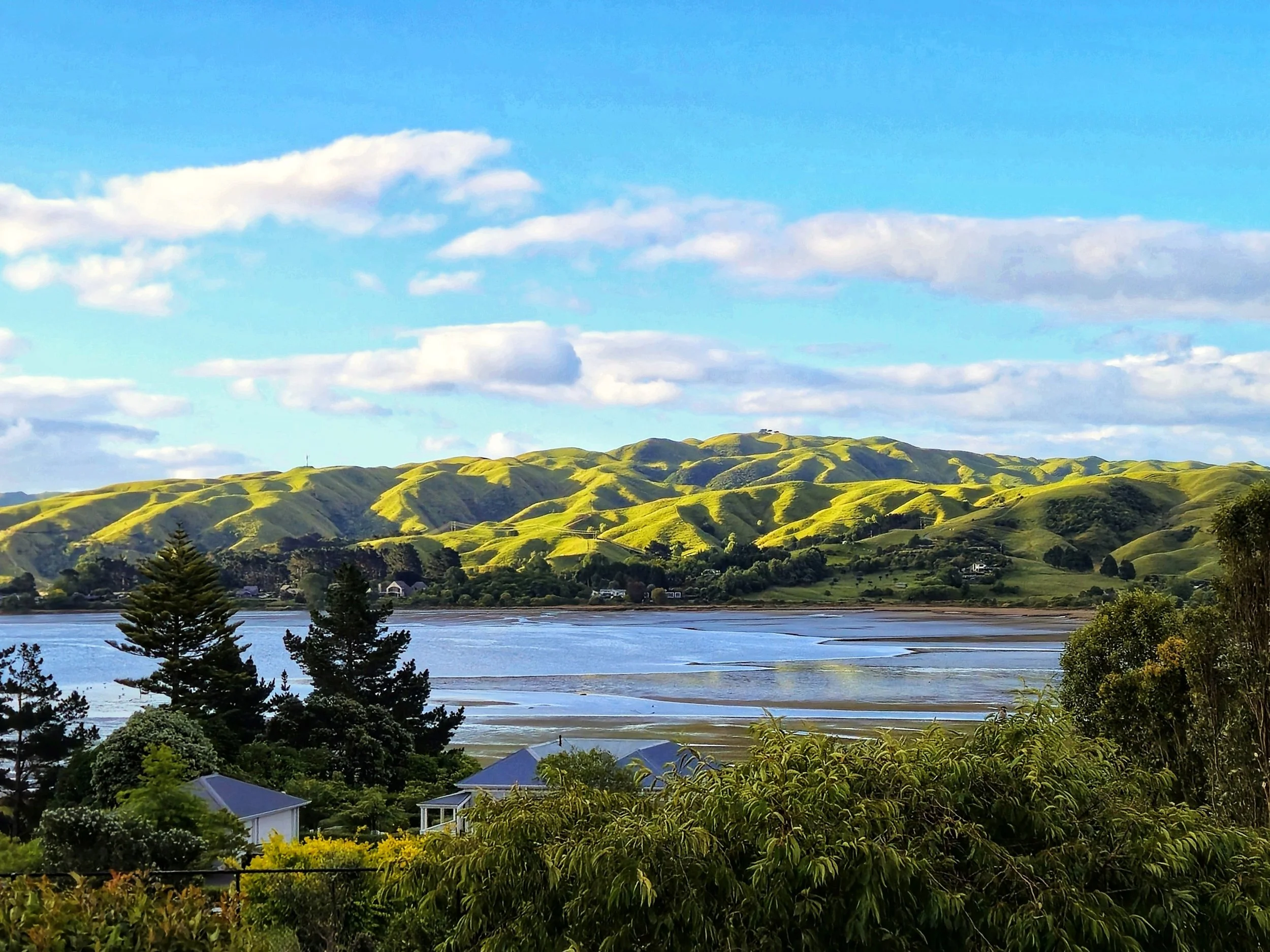 20241217_191909 (1).jpg