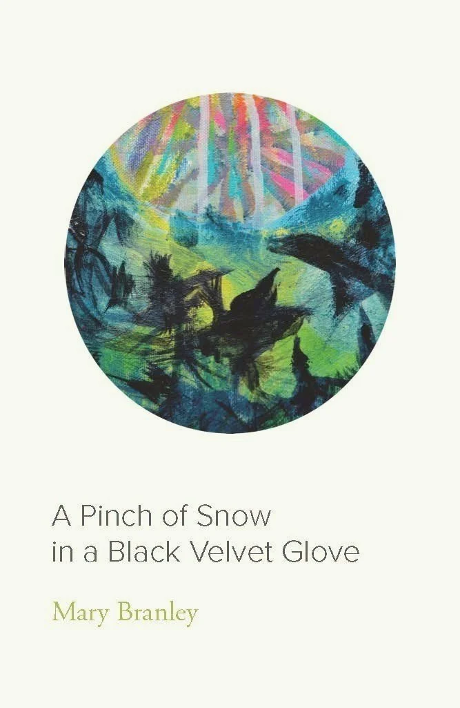 A Pinch of Snow in a Black Velvet Glove