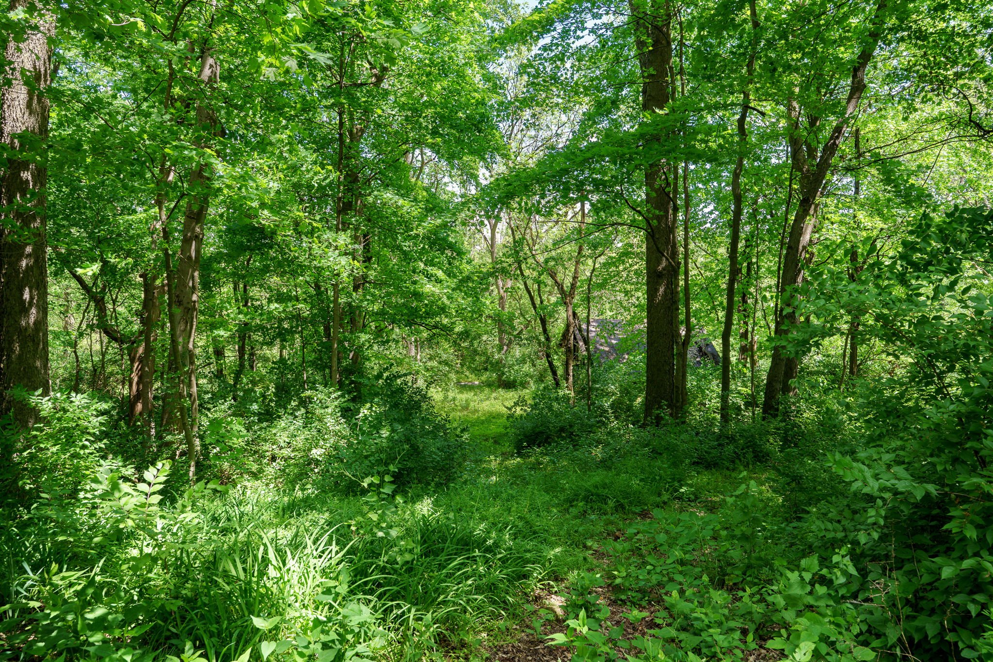 12-web-or-mls-5463-enon-xenia-rd.jpg