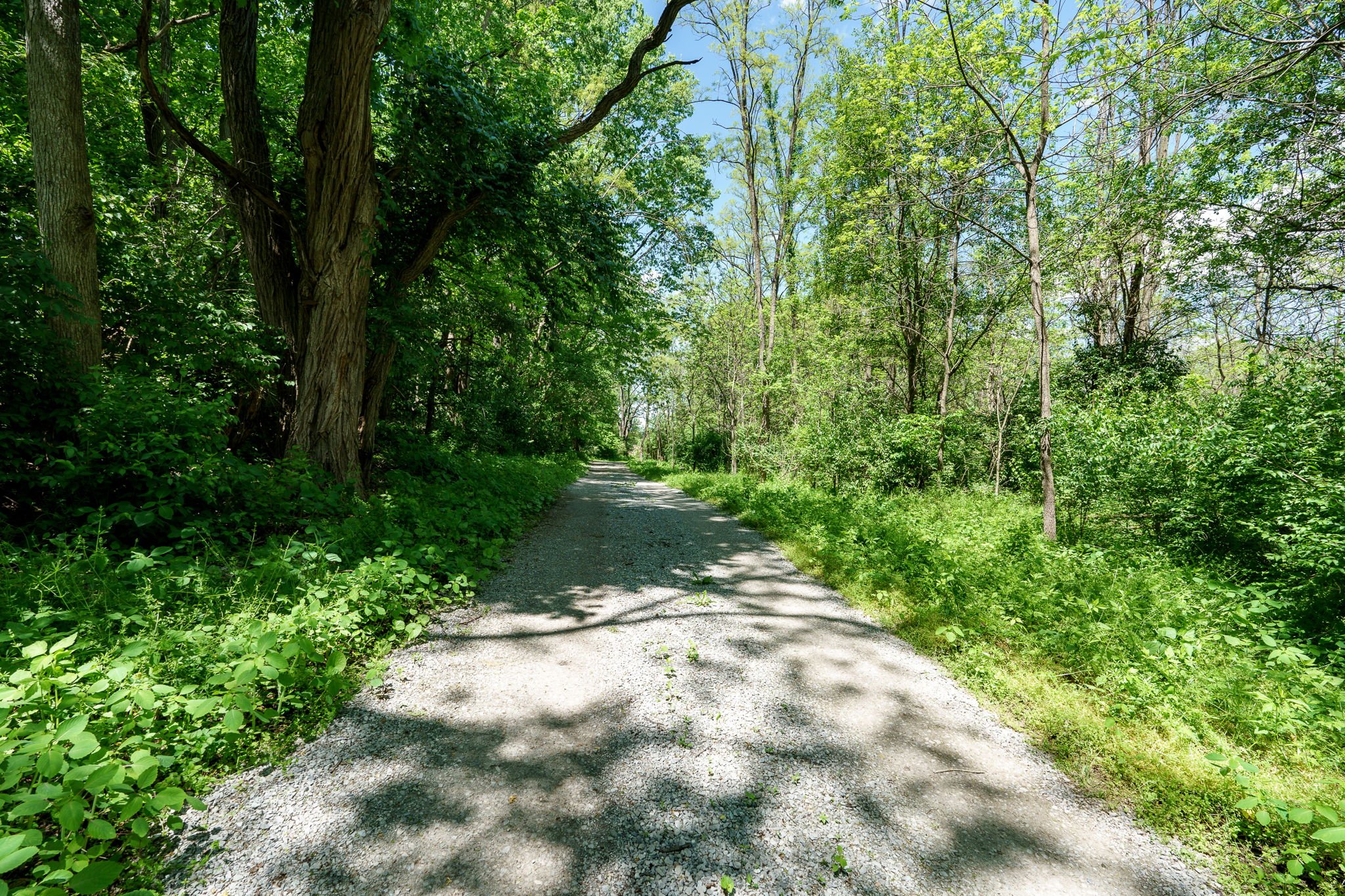 16-web-or-mls-5463-enon-xenia-rd.jpg