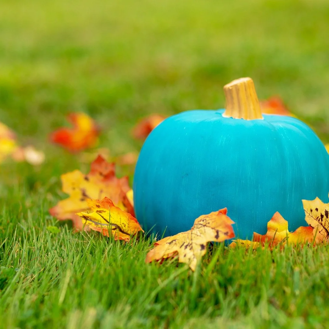 🎉 Big news! Our very own allergy-advocate, Dr. Meagan Shepherd MD, just made it into Forbes in a feature on the impactful Teal Pumpkin Project for kids with allergies. 🌱✨
“With non-food treats, we’re turning trick-or-treat into an incl