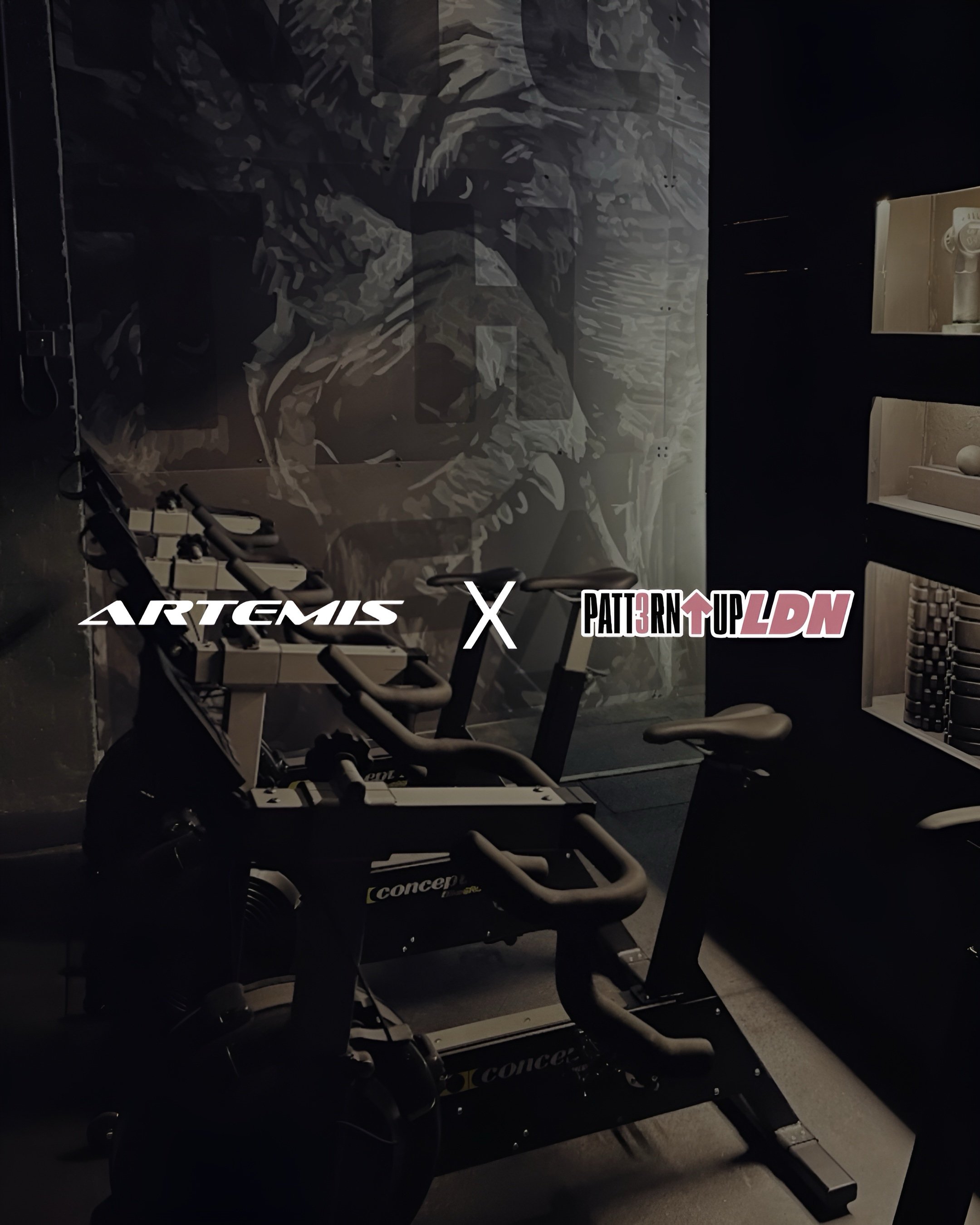 Patt3rnUpLDNXArtemis