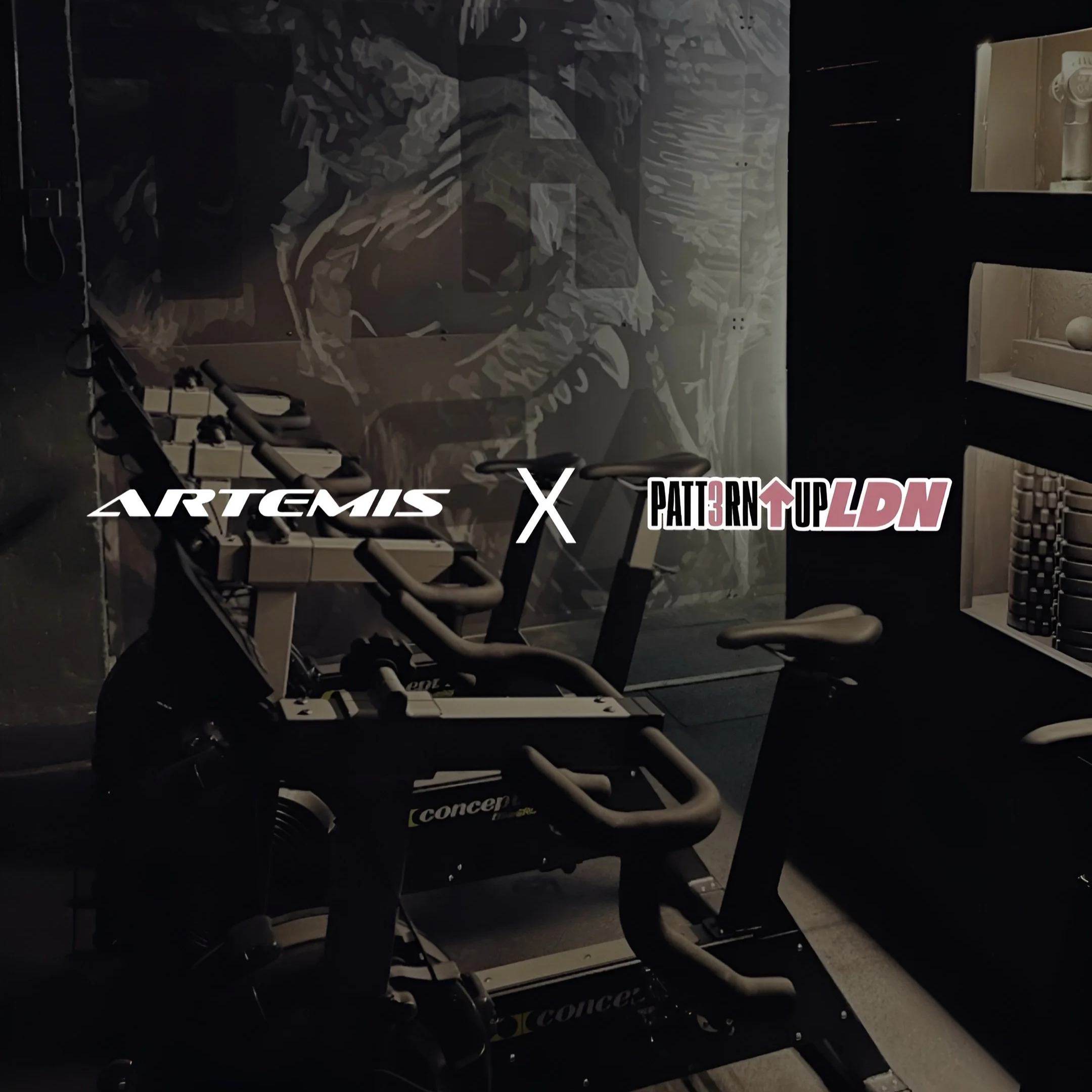 PULXARTEMIS2.png (Copy)