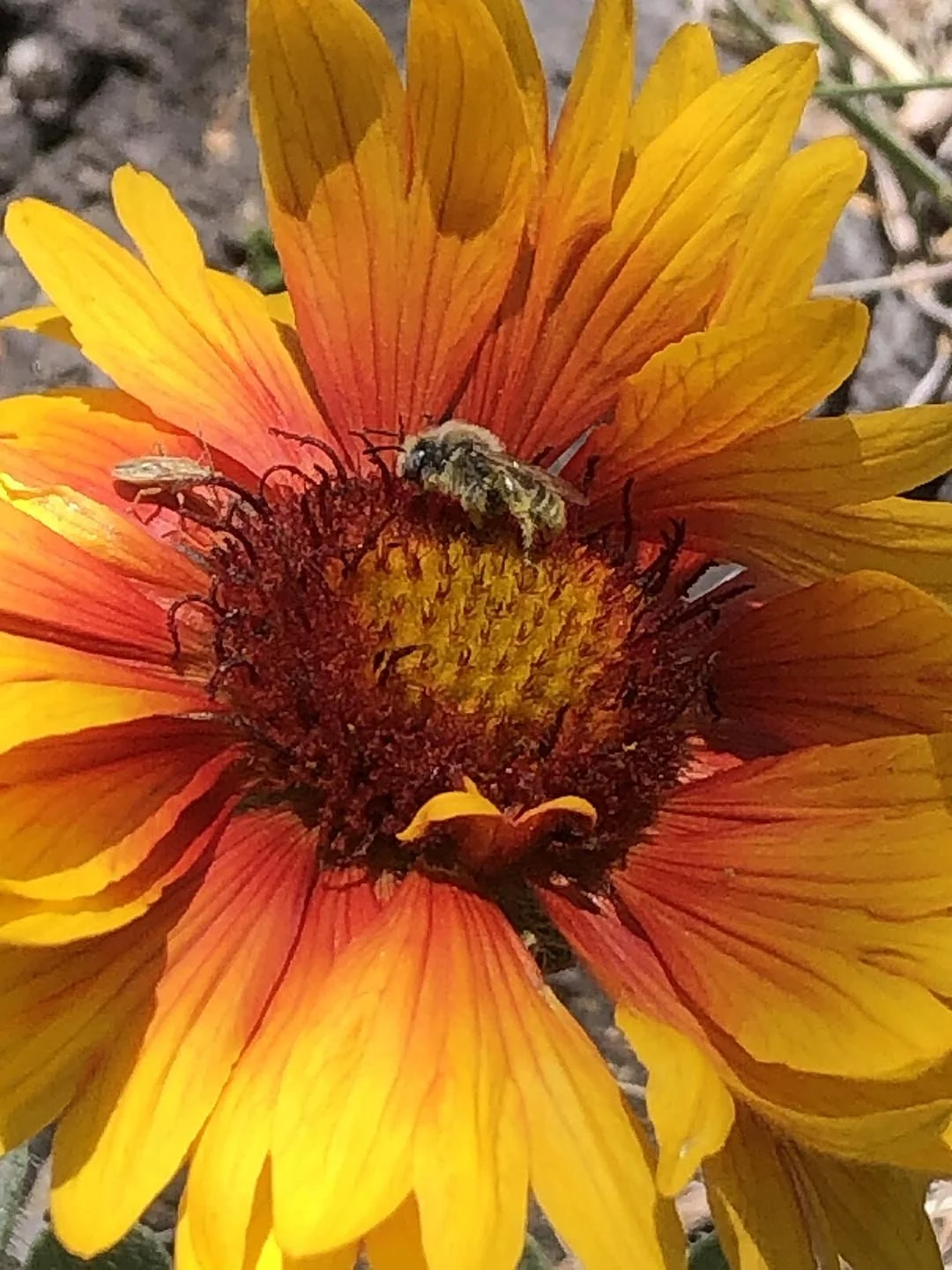 What my friends are teaching me about art