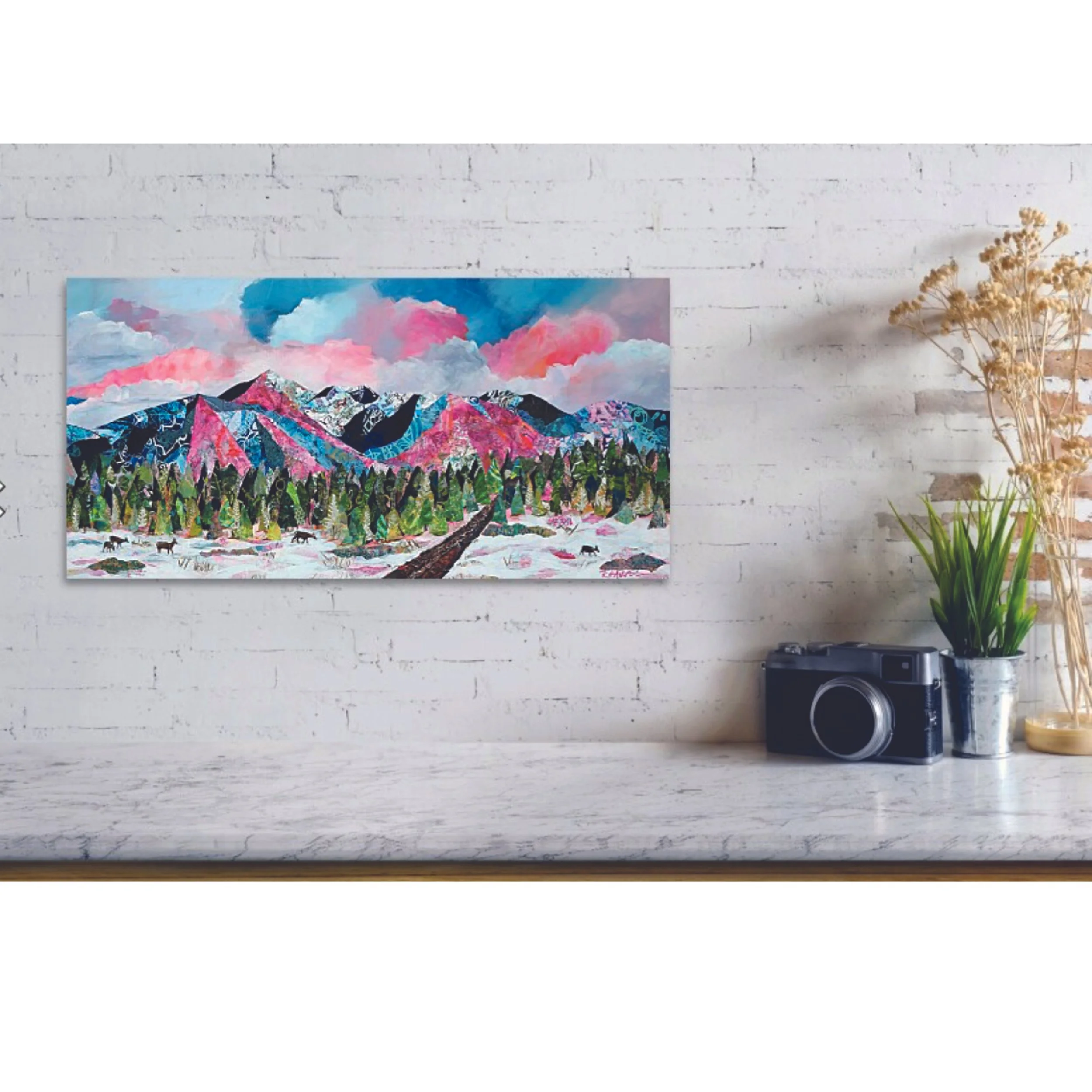 insitu with camera.jpg