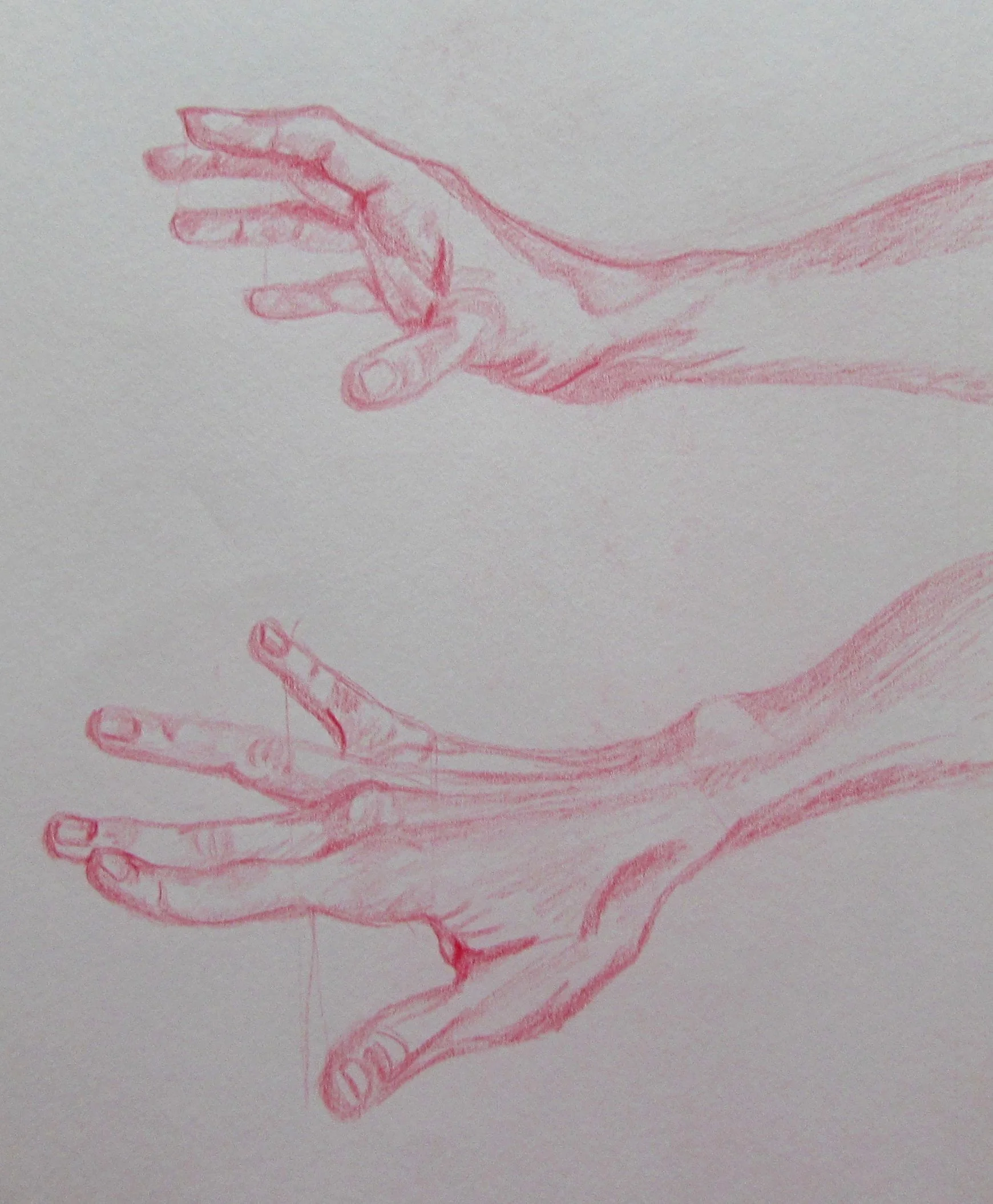 Hand Study 2 (Red Polychromos)
