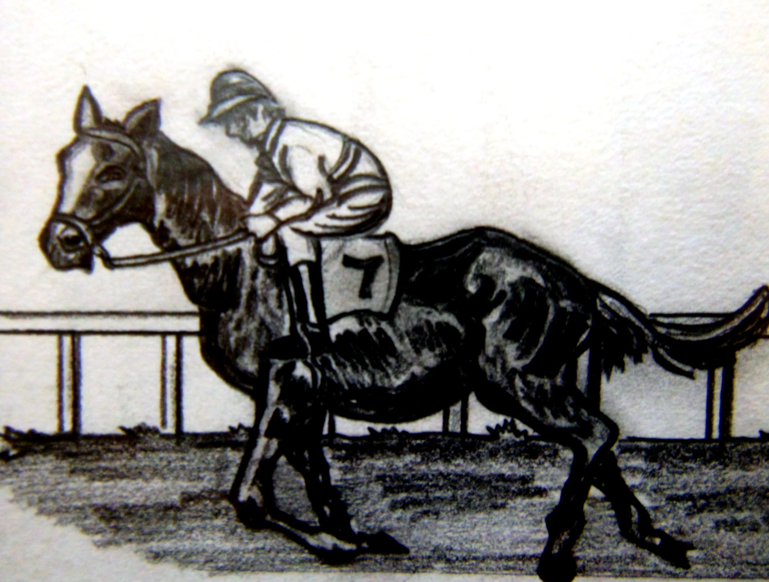 Punchestown  Races (Fundraiser brochure illustration) (Graphite Pencil)