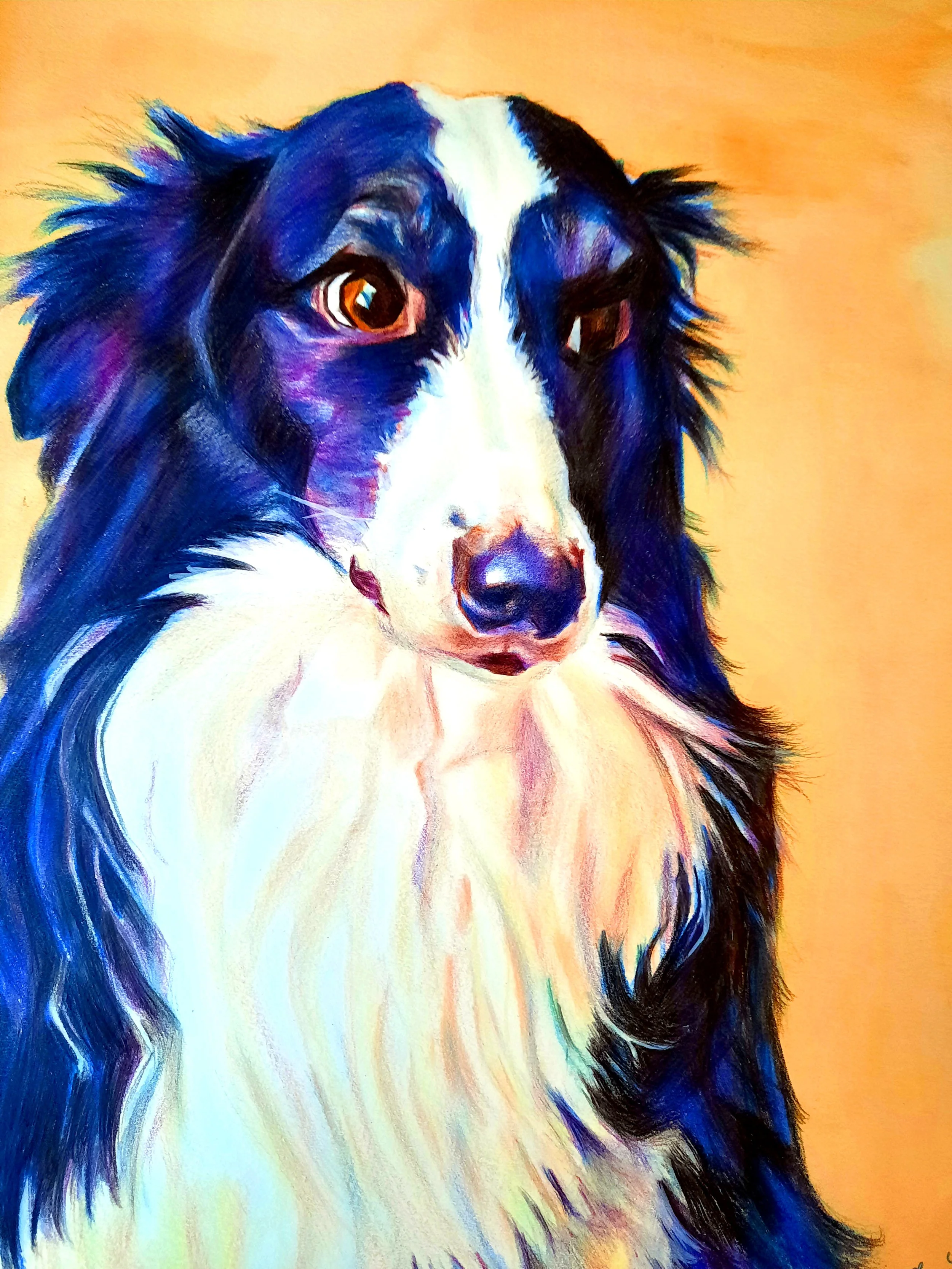 Lulu, 50th Birthday Present, Beloved Pet Commission (Oil Polychromos)