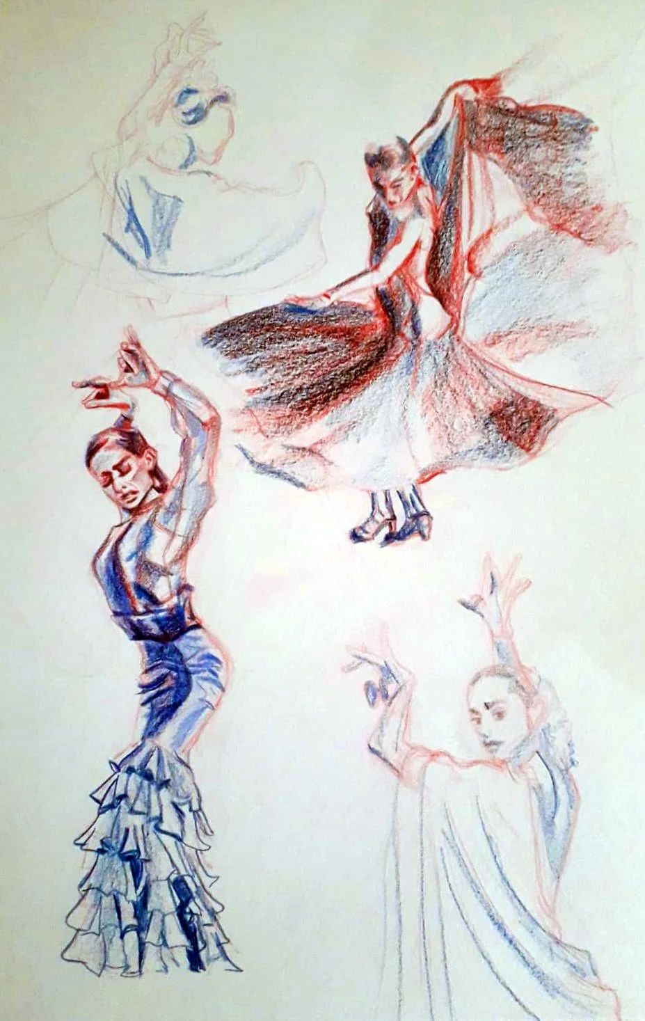 Flamenco Quick Study ( Polychromos)