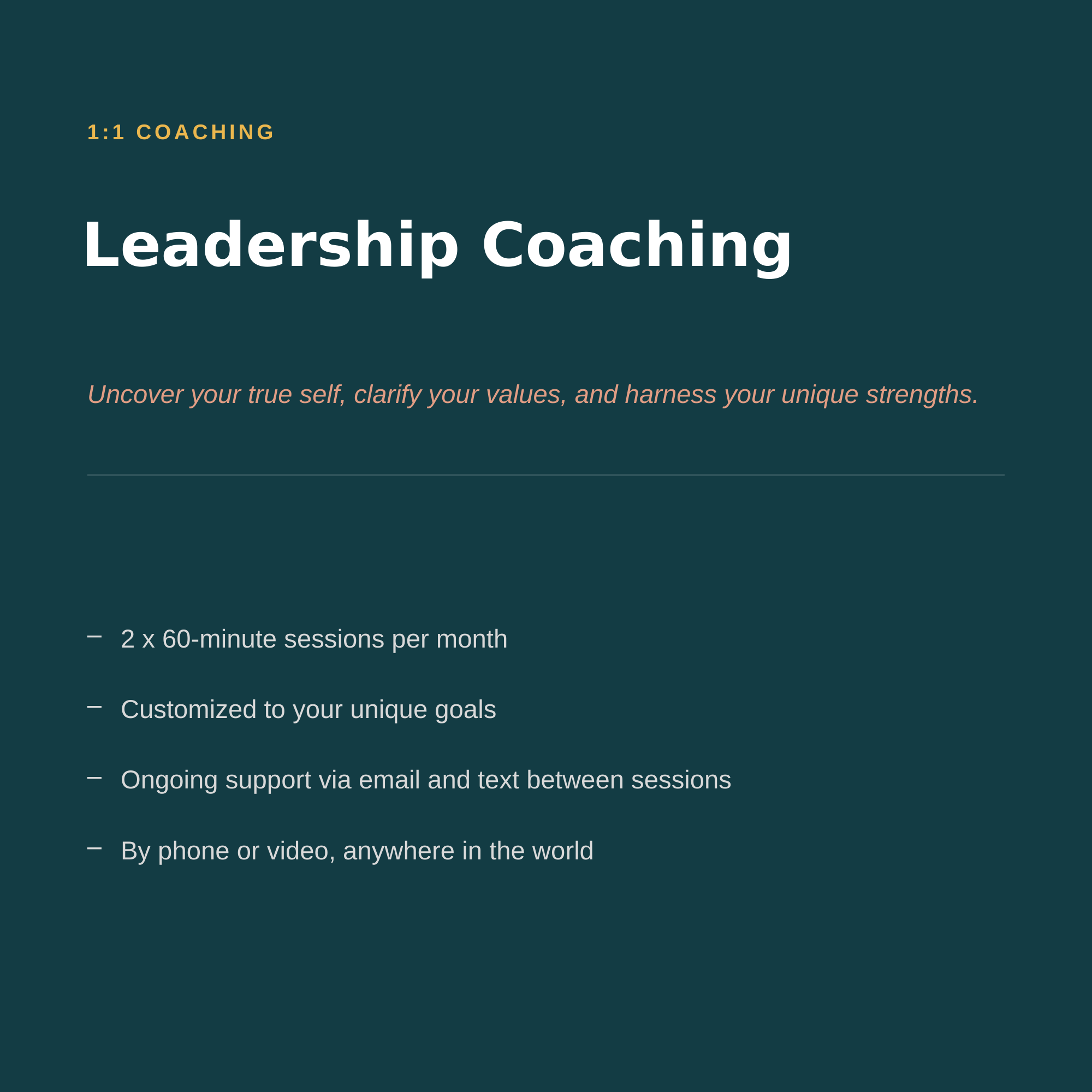 1:1 Leadership Coaching