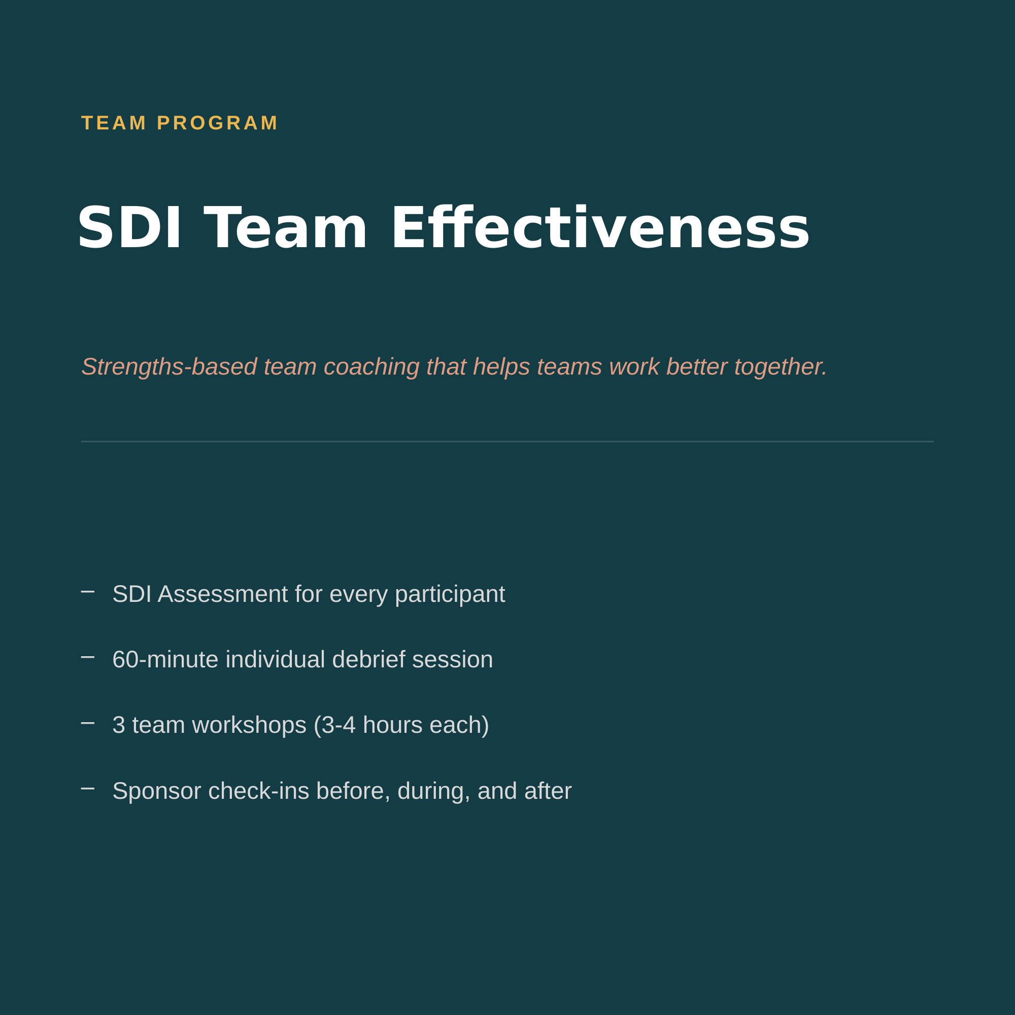 SDI Team Effectiveness