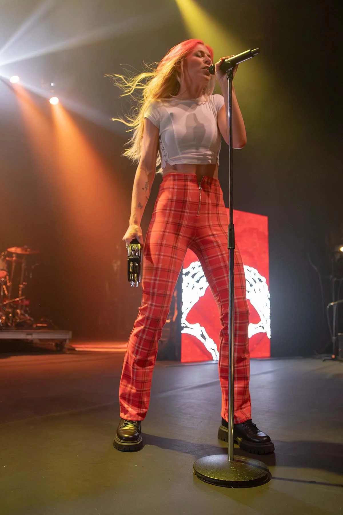 TaylorAcorn9.jpg