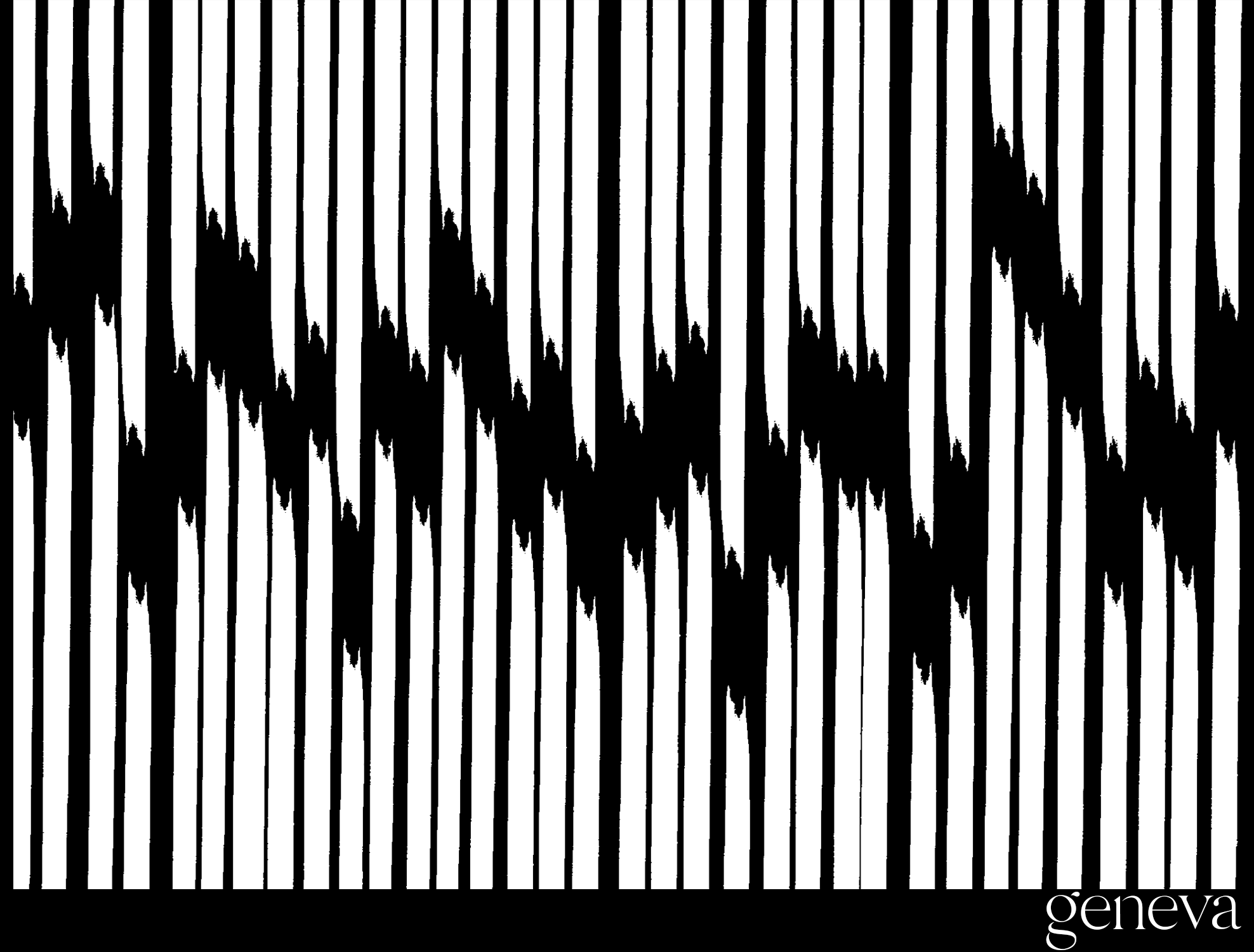 Transparent Blades of Grass_Reverse B&W.png