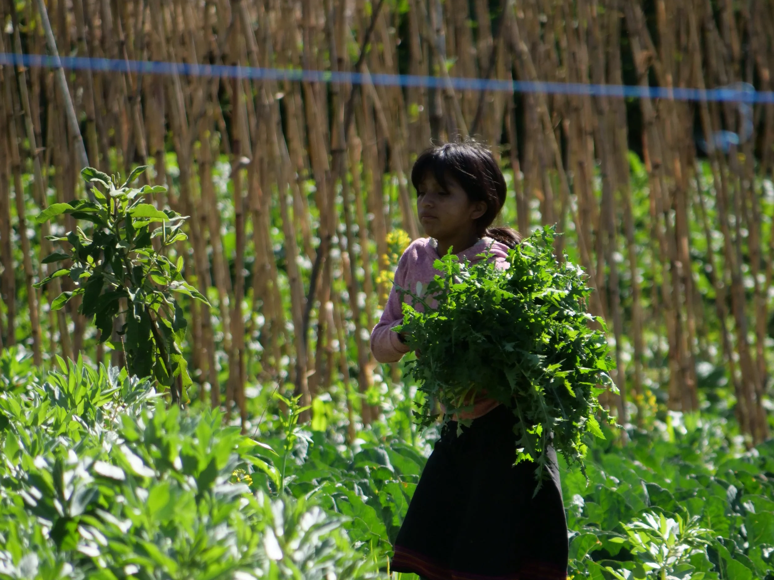 Grupo "La Semilla"

Fotografía: Nora Itri