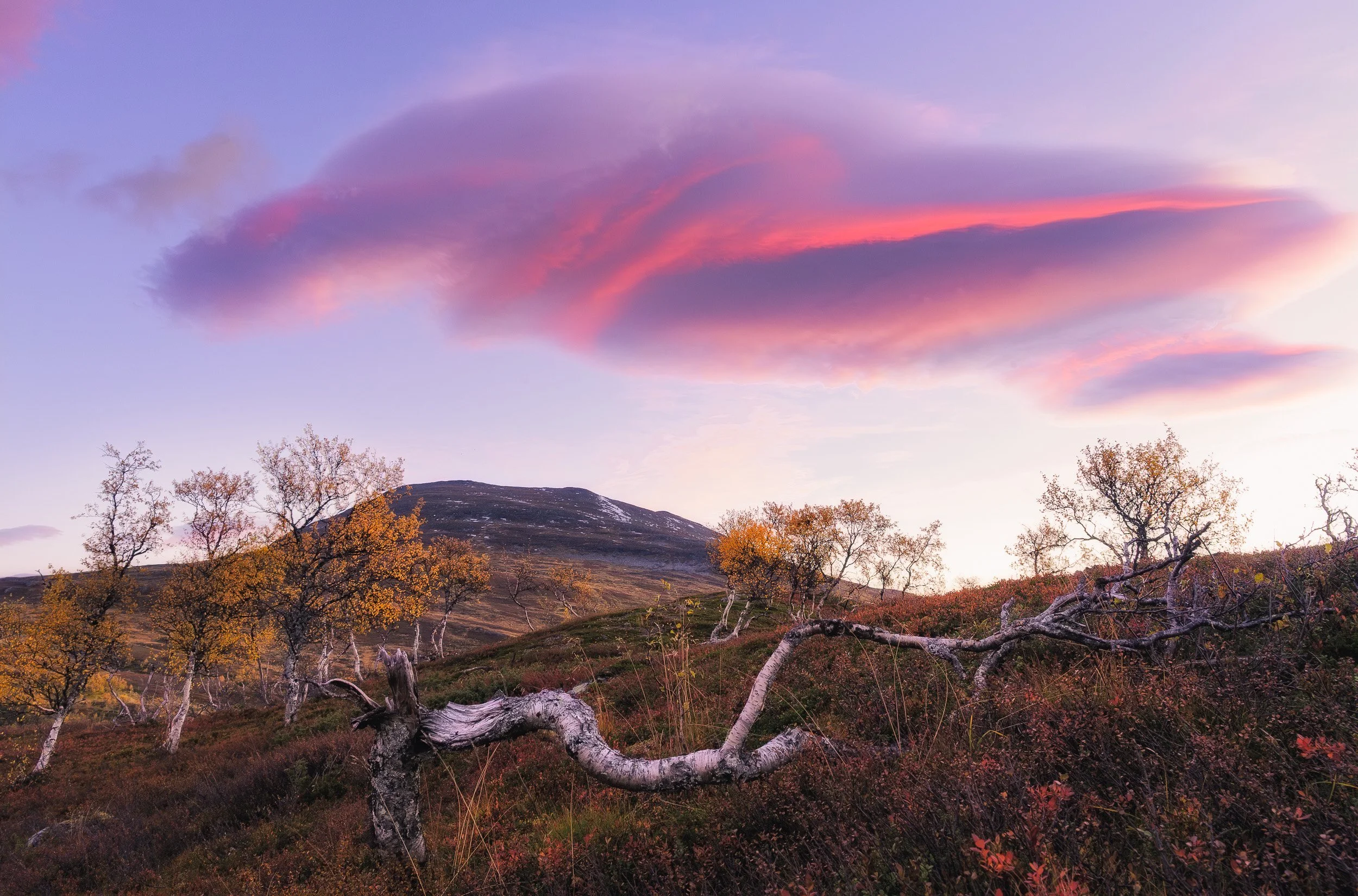 Jämtland & Norge_5213-RedigerasRGB_Squarespace_Opt_Res.jpg