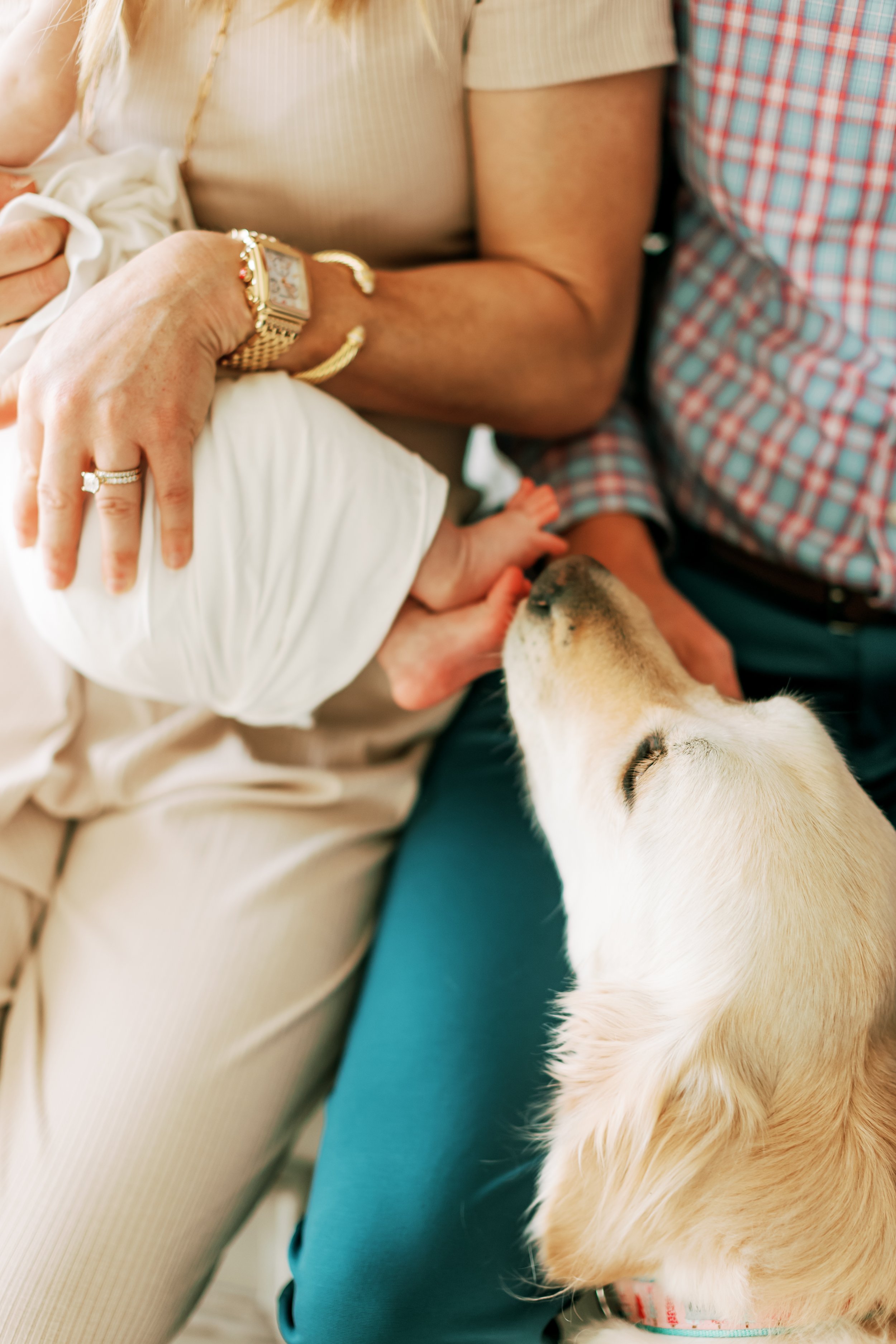 puppy+dog+athome+newbornsession+lifestyle+film