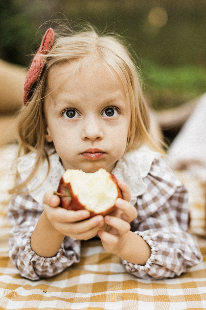 vintage kite apple picnic family photography north alabama